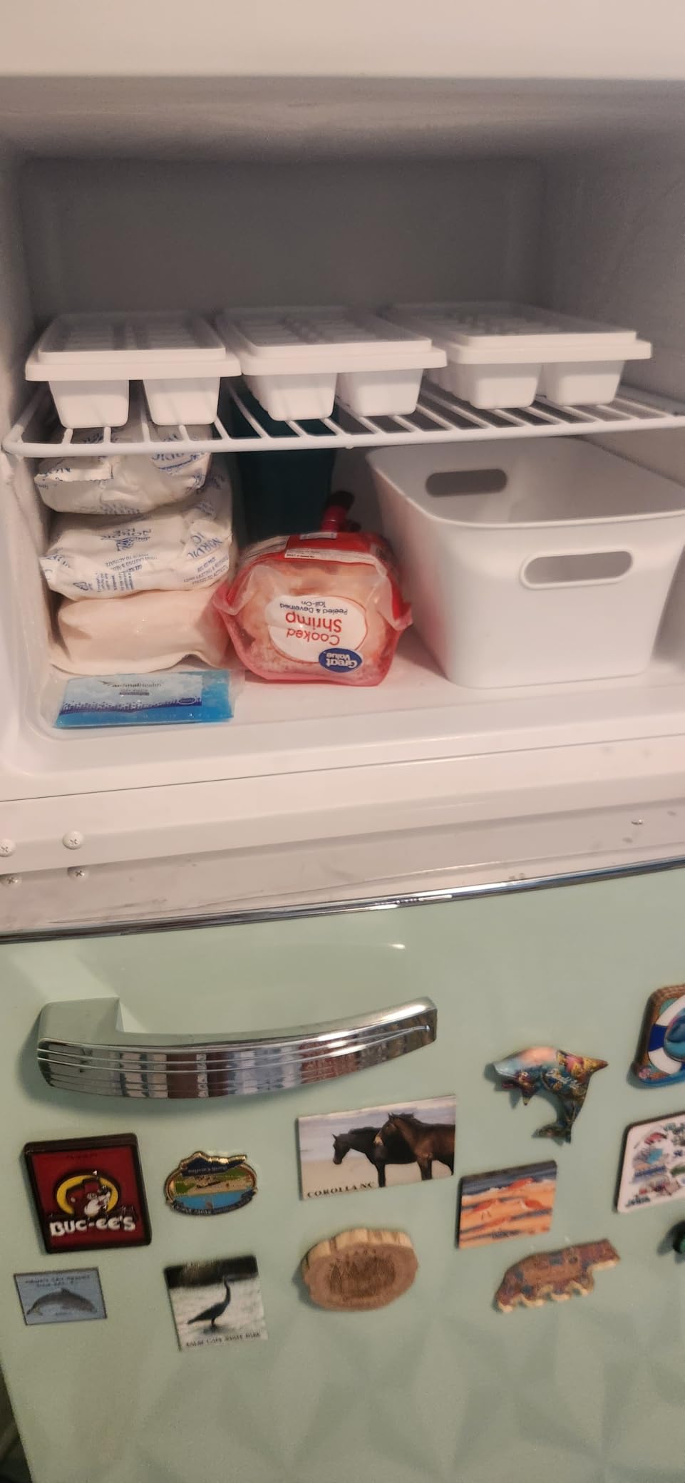 Frigidaire EFR753, 2 Door Apartment Size Refrigerator with Freezer, Retro Chrome Handle, 7.5 cu ft, Platinum Series, Stainless Steel, 7.5 customer photo 1