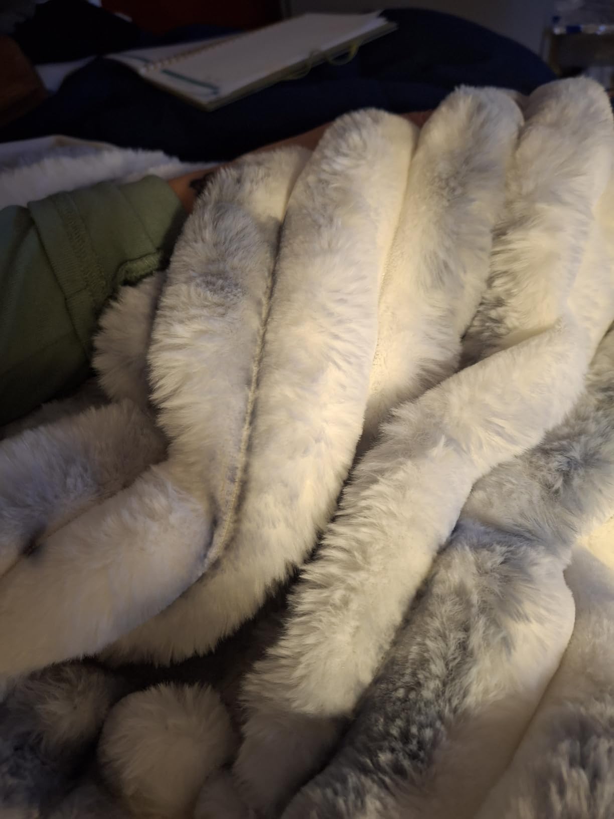 Westinghouse Heated Blanket Twin, 62