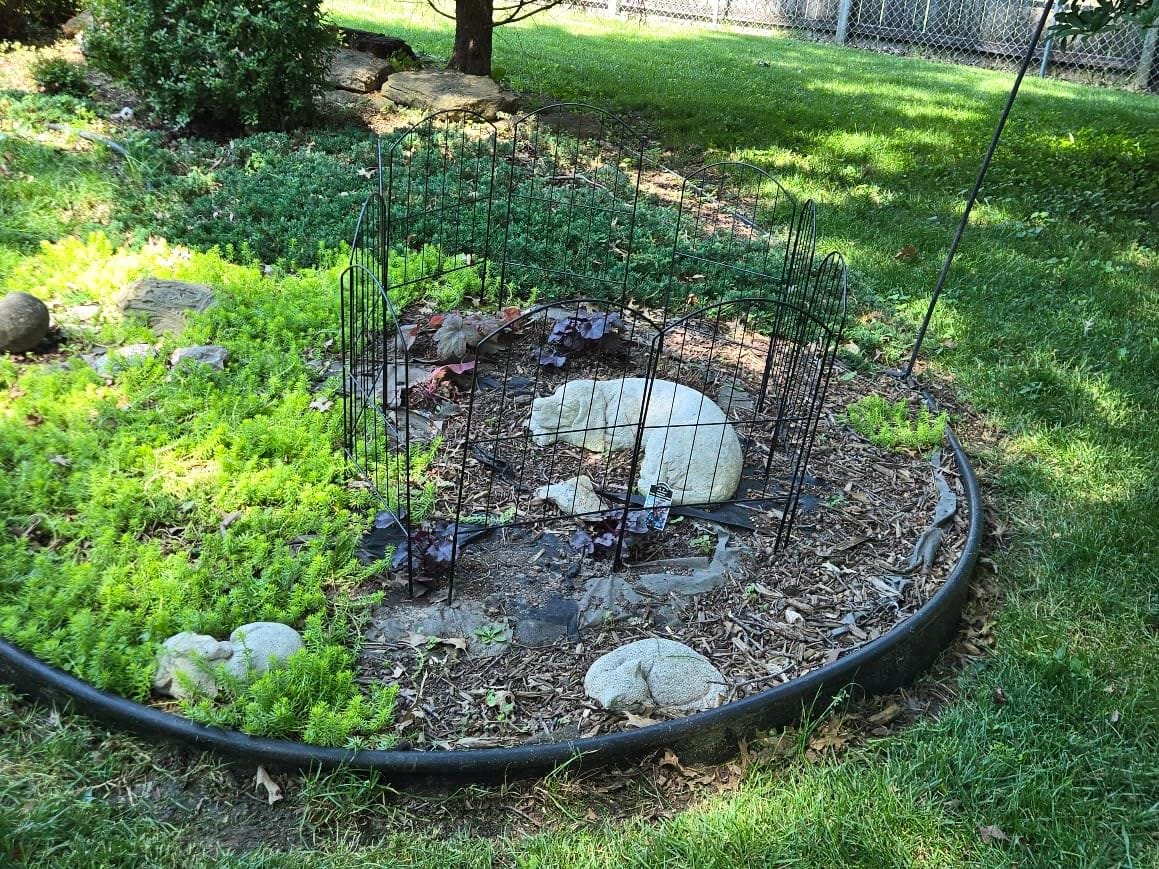 Decorative Garden Fence Fencing, 10ft (L) x 24in (H) Animal Barrier for Dog customer photo 2