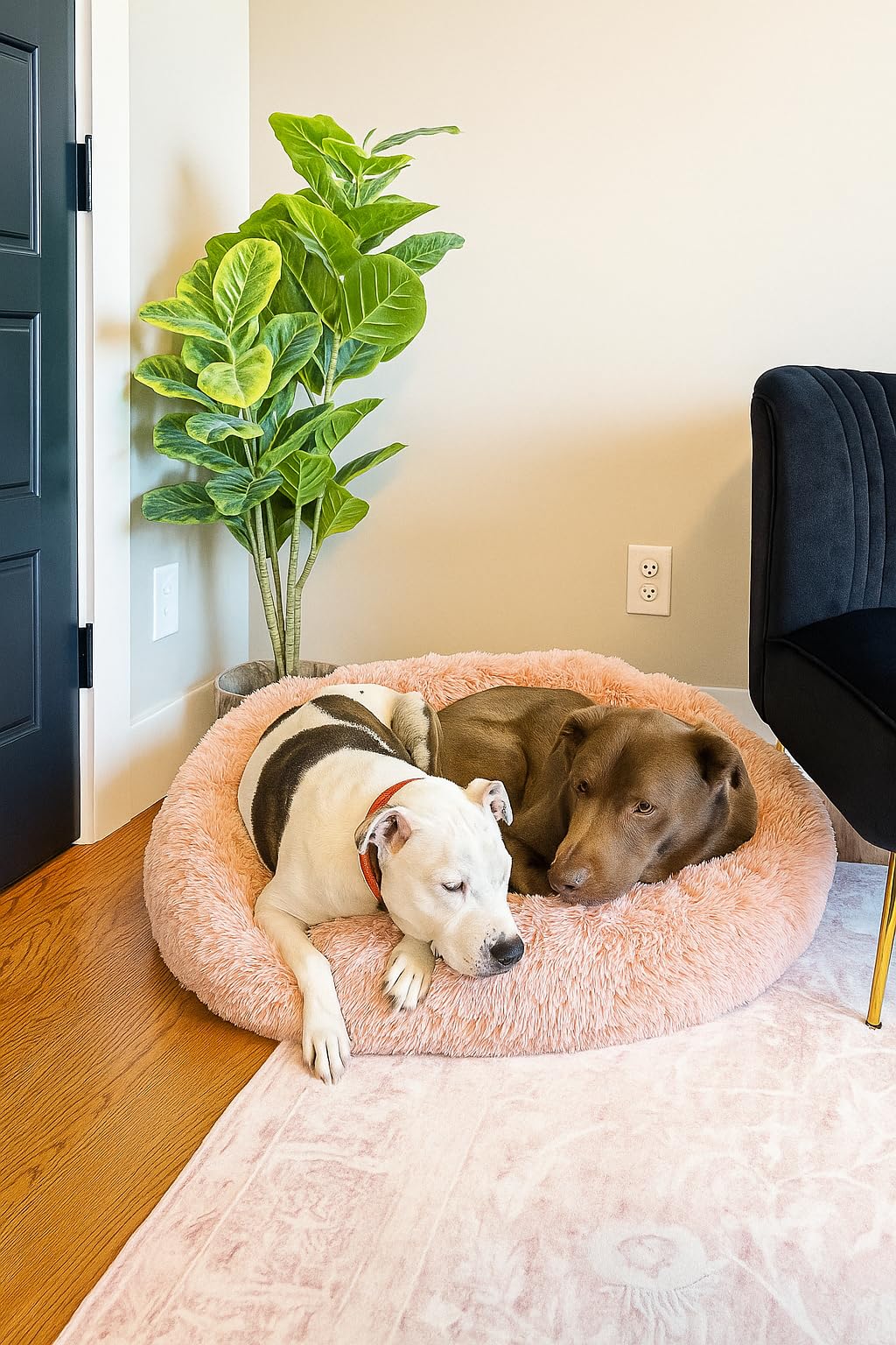 Bedfolks Calming Fluffy Donut Dog Bed for Large Dogs,Dark Grey, 36
