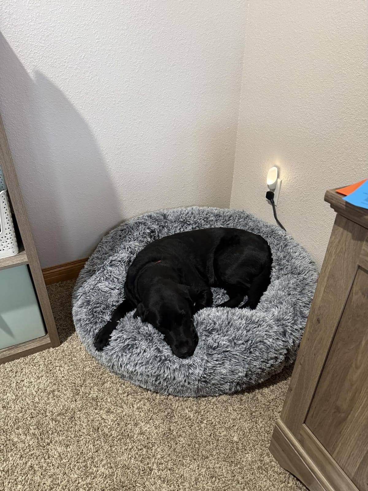 Bedfolks Calming Fluffy Donut Dog Bed for Large Dogs,Dark Grey, 36