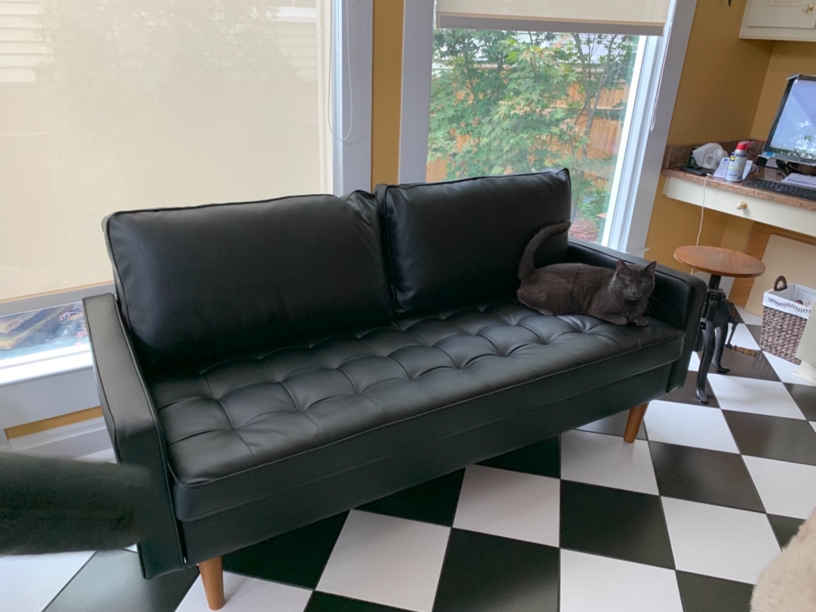Container Furniture Direct Womble Mid Century Modern Velvet Upholstered Tufted Seat with Bolster Pillows, Sofa, Dijon customer photo 1