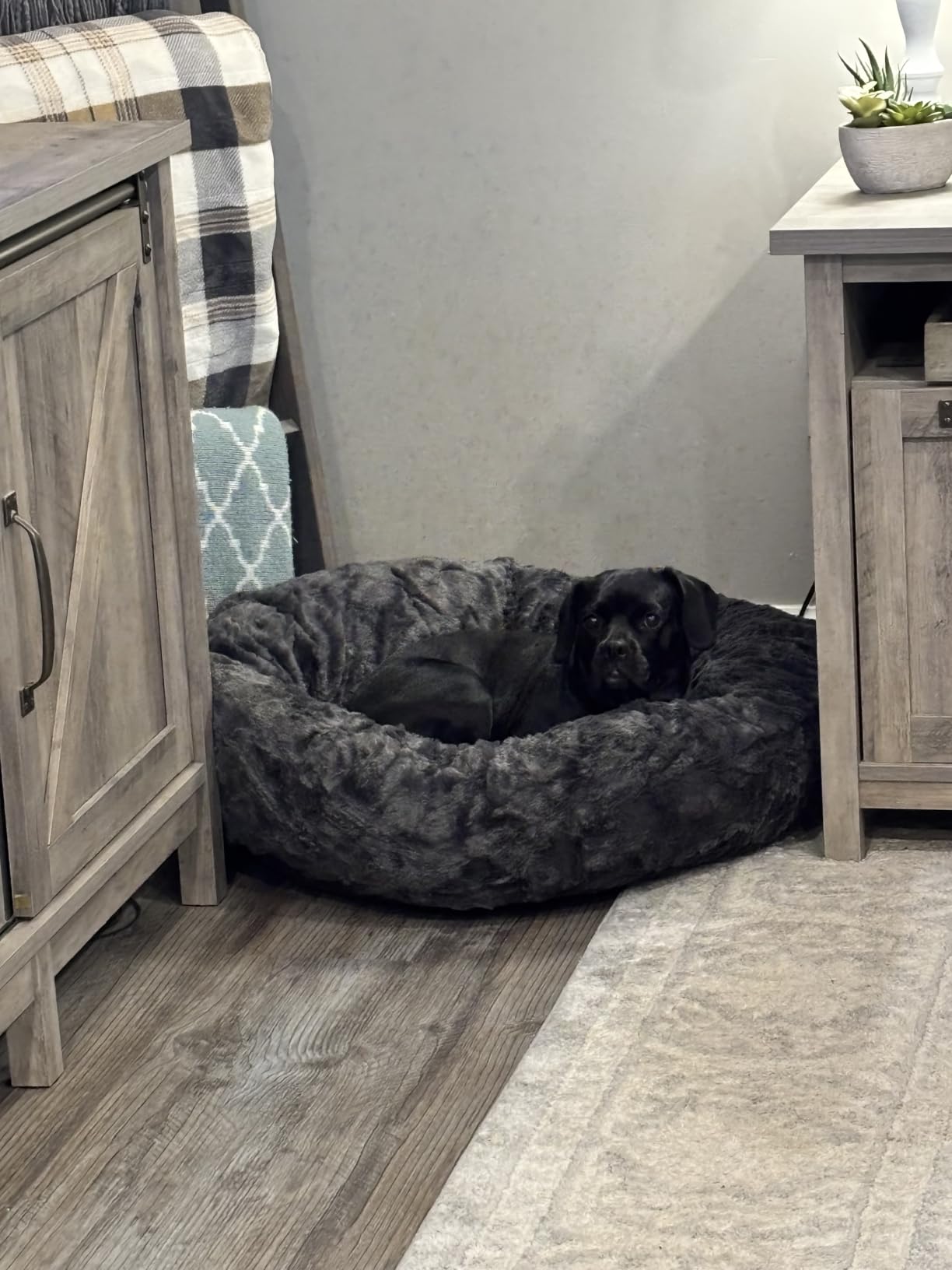 Best Friends by Sheri Original Calming Donut Dog Bed, Mink Gray, 30