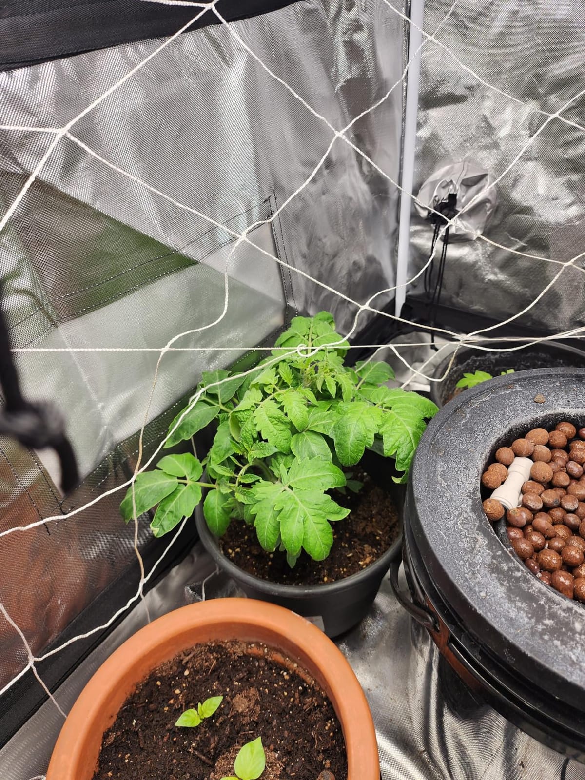 VIVOSUN DWC Hydroponics Grow System with Top Drip Kit 1 Bucket customer photo 1
