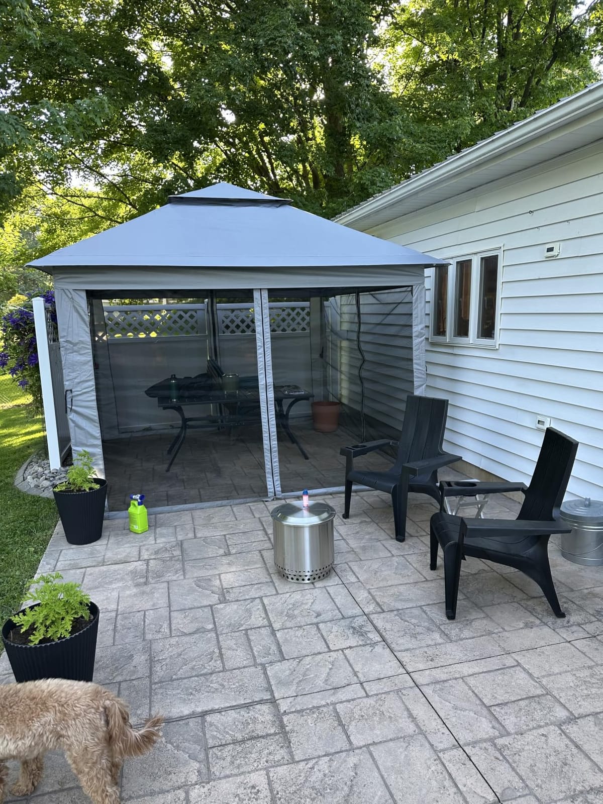CROWN SHADES Gazebo 10x10 Pop Up Canopy with Mosquito Netting, Beige | Screen Tent with 4 Ropes, 8 Stakes, 4 Sandbags and Wheeled Storage Bag, Canopy for Patio & Backyard Parties, Camping&Events customer photo 2