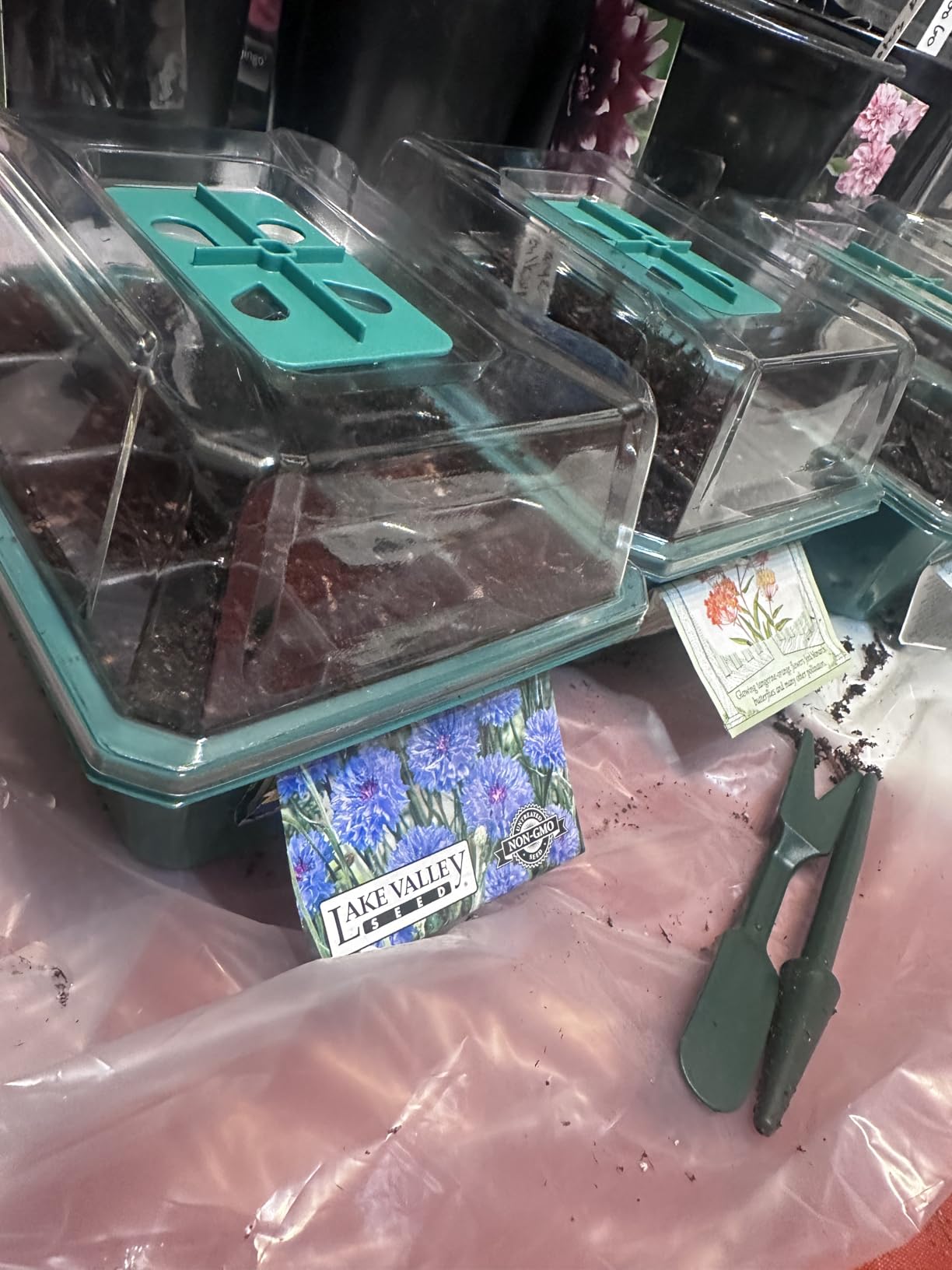 VIVOSUN 12-Pack Seed Starter Trays, 144-Cell Starter Kit with Humidity Dome customer photo 2