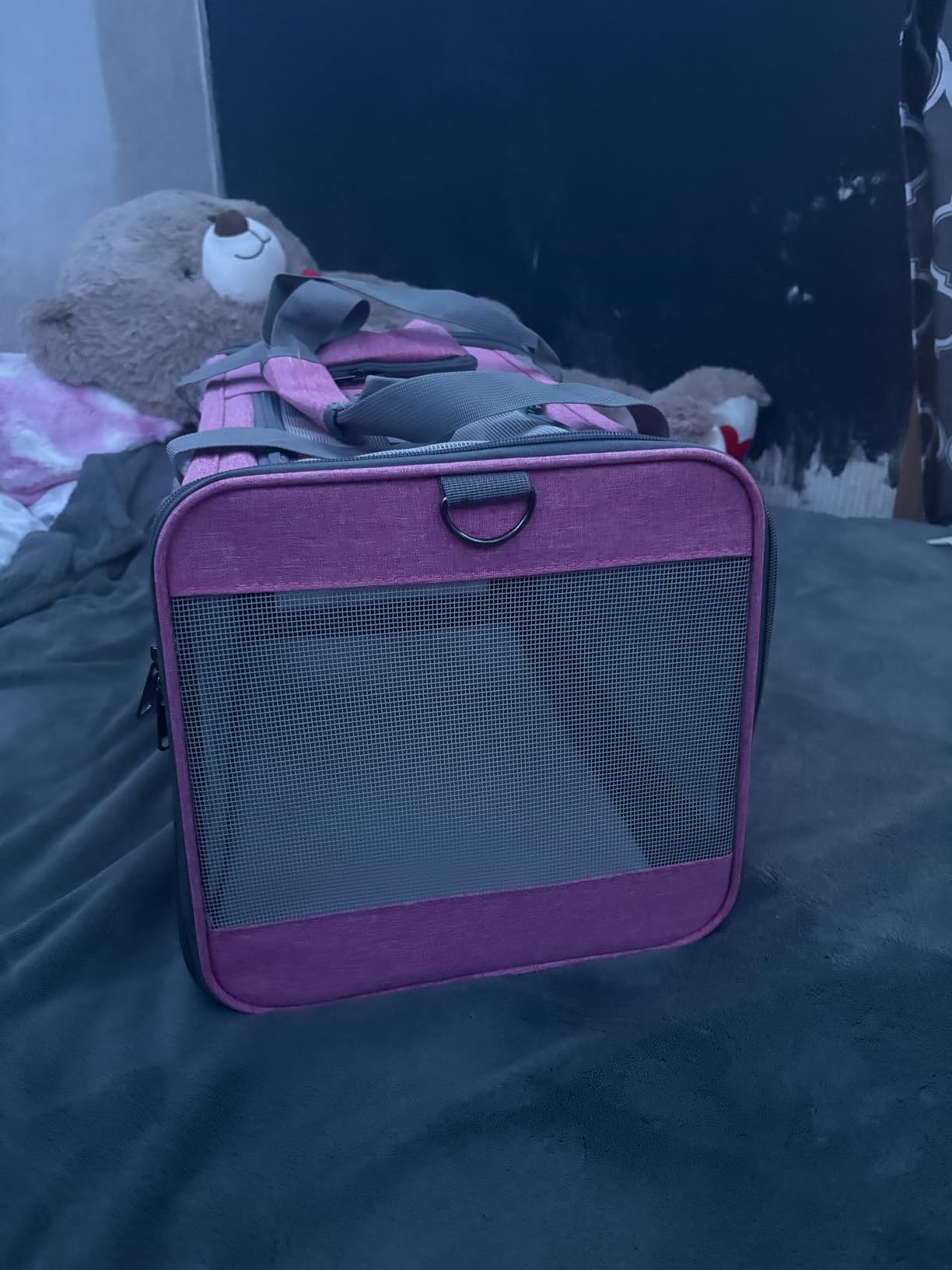 GAPZER Pet Carrier for Large Cats up to 20lbs Soft-Sided Privacy Protection customer photo 1
