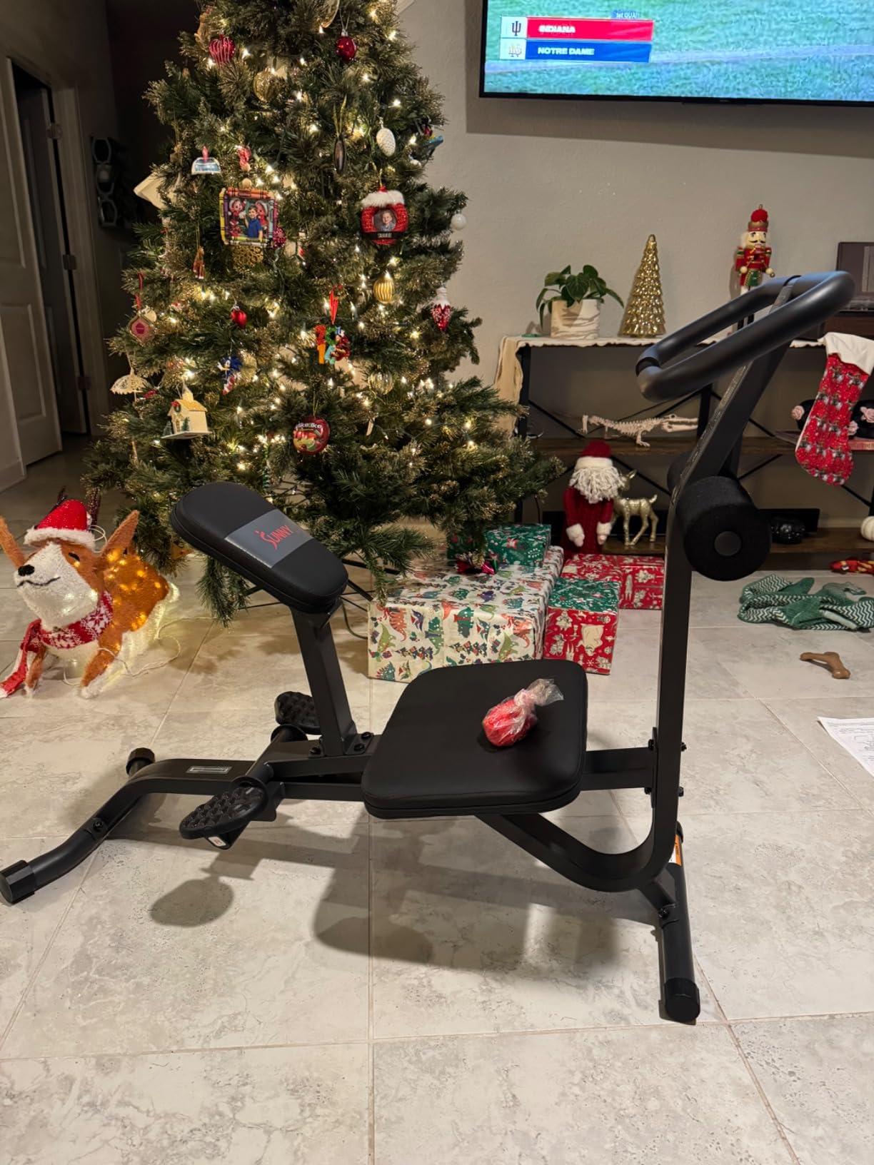 Sunny Health & Fitness Full Body Stretch Machine Back Stretcher Pivot Seat | Pivoting Seat, Multi-Use Handlebar, Padded Back Support, Full-Body Stretching, Flexibility Training, Home Gym Use customer photo 2