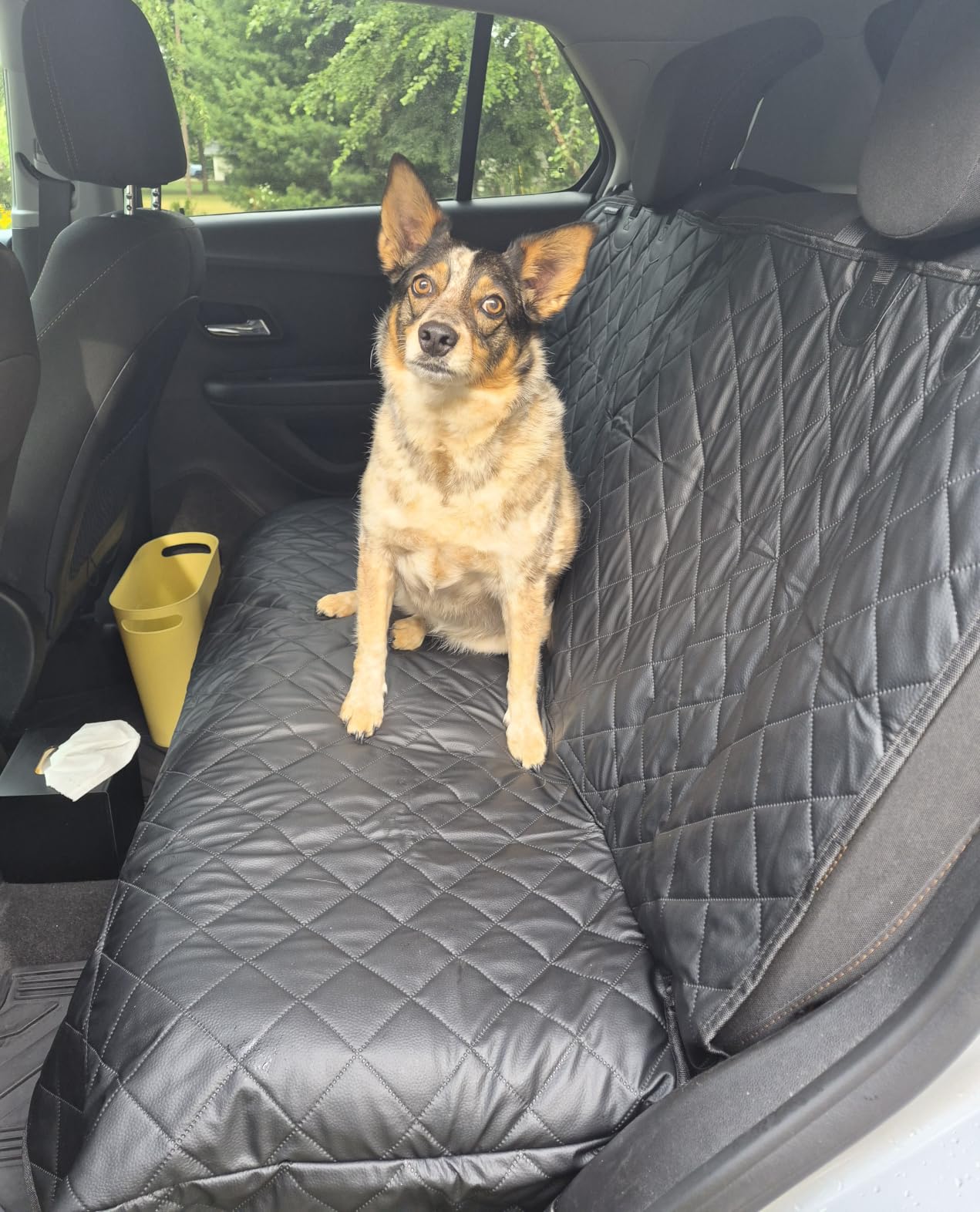 URPOWER Dog Car Seat Cover for Back Seat, Waterproof Car Seat Protector customer photo 1