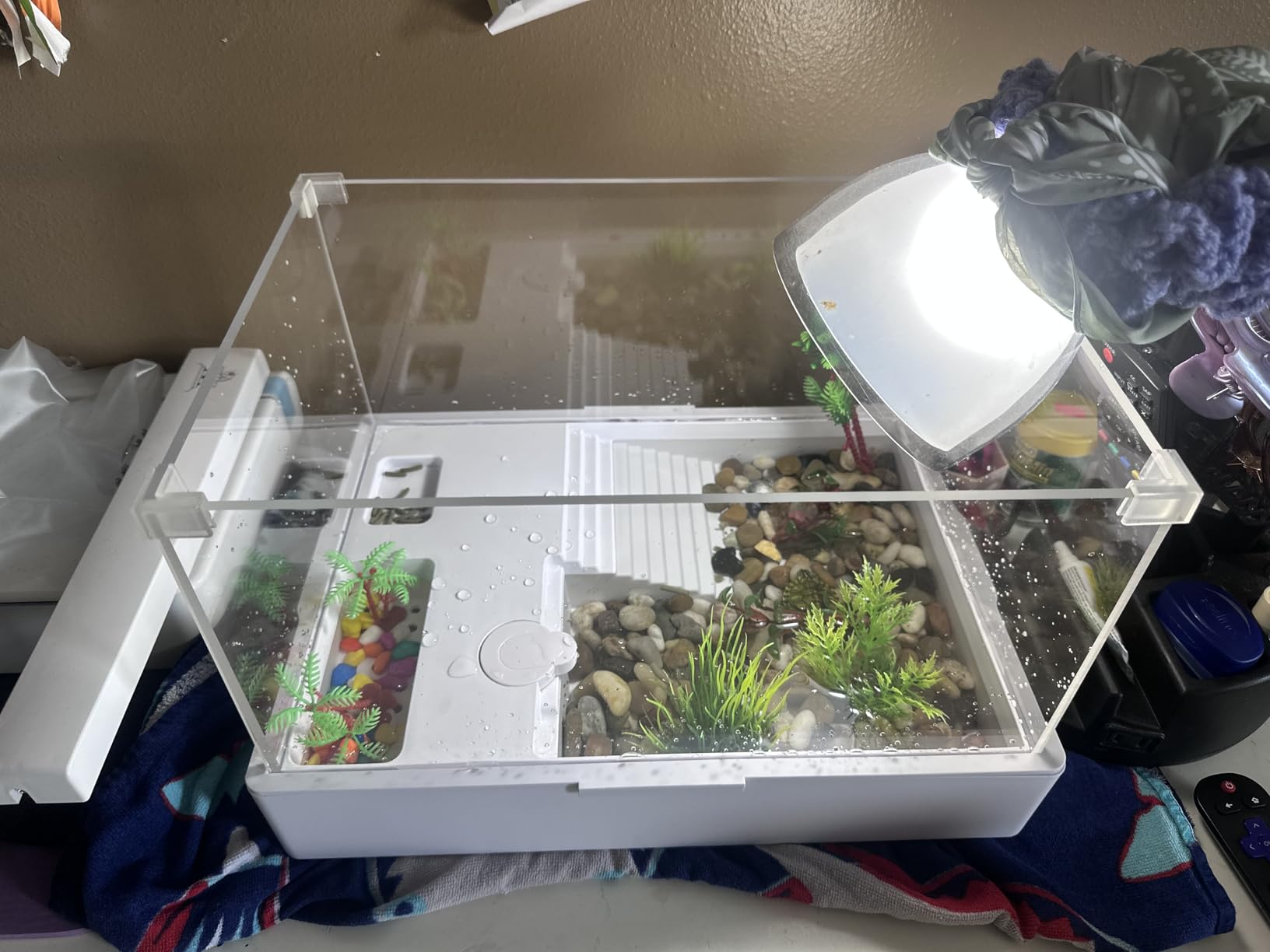 Medium Turtle Tank with Water Pump customer photo 1