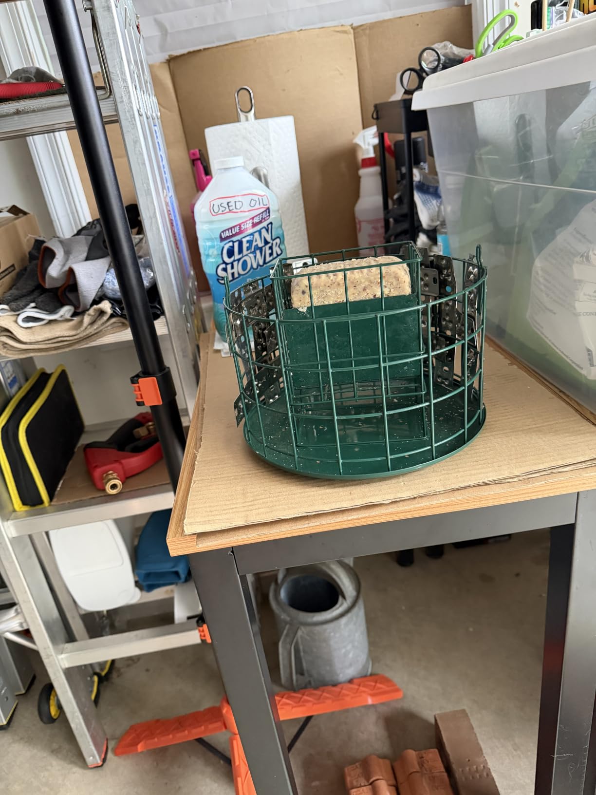Kingsyard Squirrel Proof Suet Feeder, Cage Bird Feeders for Outdoors Hanging, All Metal, Double Suet Cake Capacity, Tray & Weatherproof, Green customer photo 2