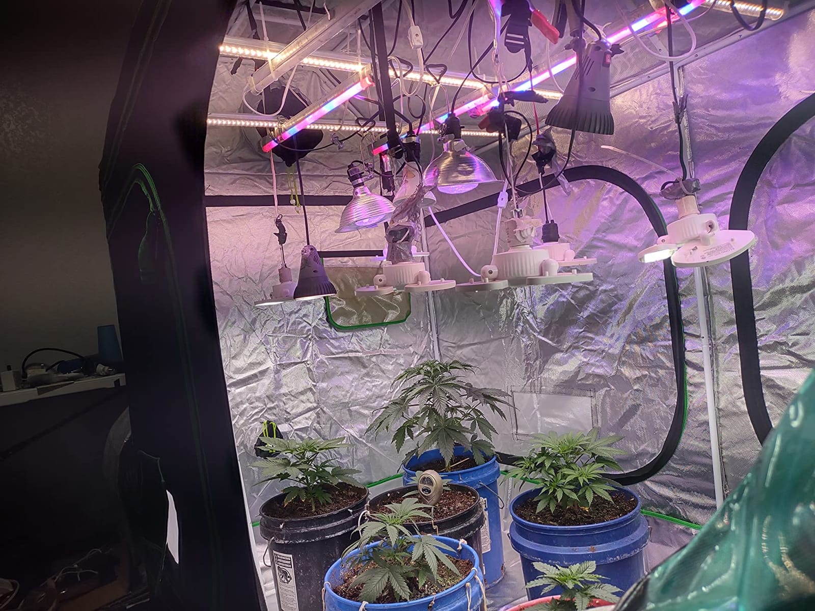 3x3 Grow Tent, 36