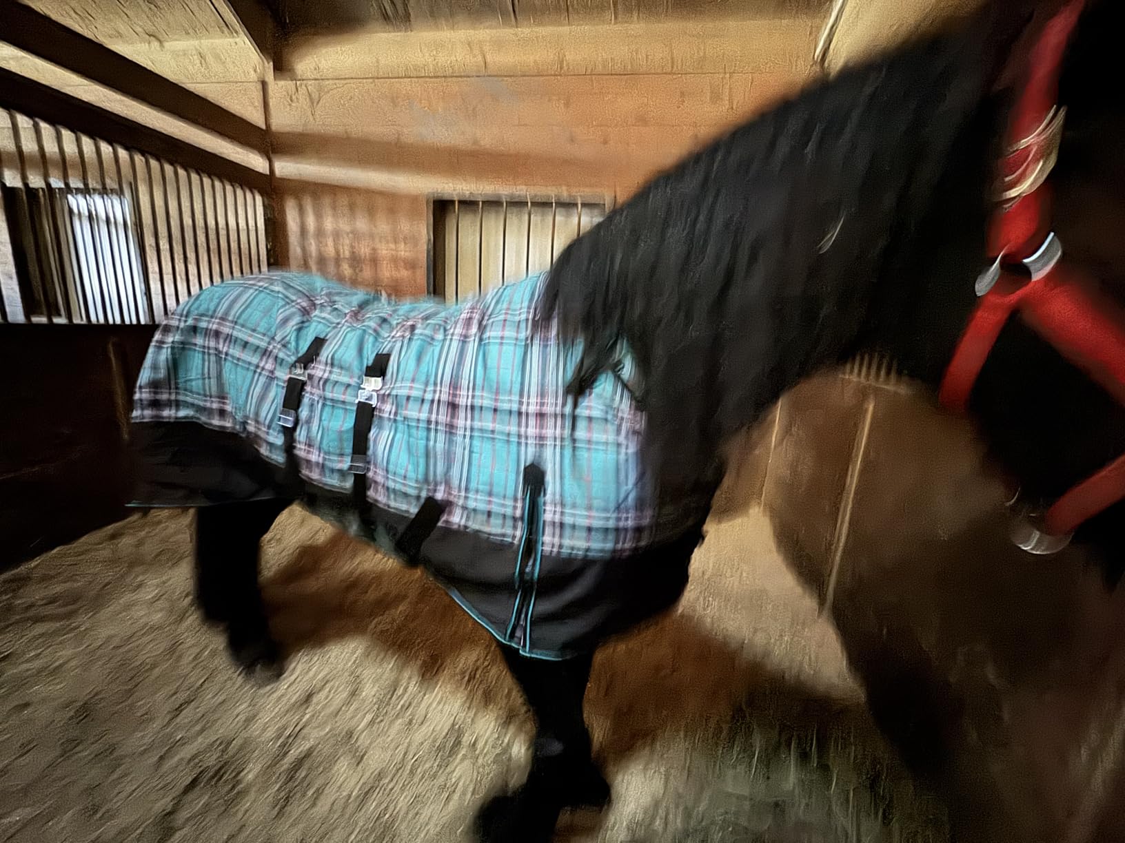 Challenger 1200D Horse Turnout Waterproof Heavy Weight Winter Blanket 5B104 customer photo 1