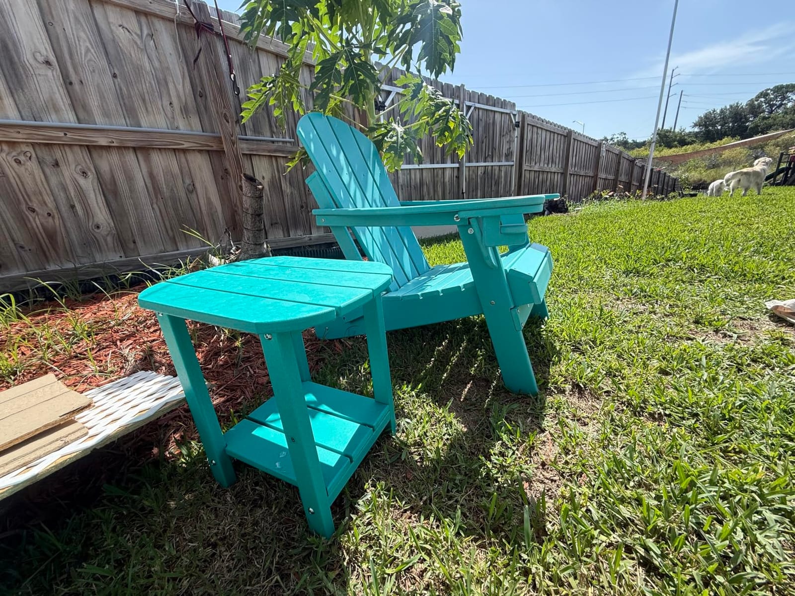 GREENVINES Folding-Adirondack-Chairs Set of 4, HDPE All Weather, Black customer photo 1