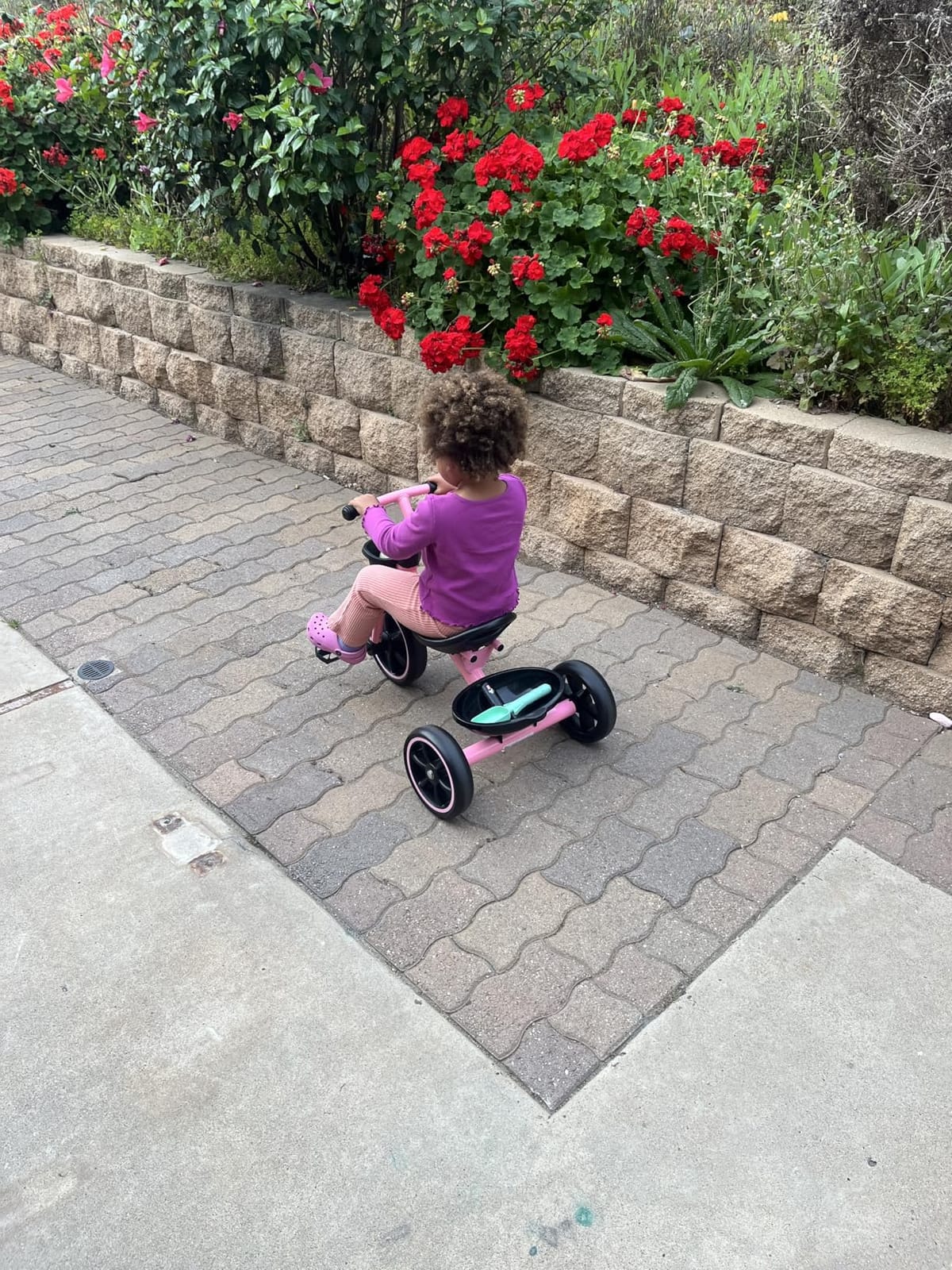 KRIDDO Toddler Tricycle for Toddlers Age 2-5, Tool-Free Trike customer photo 2