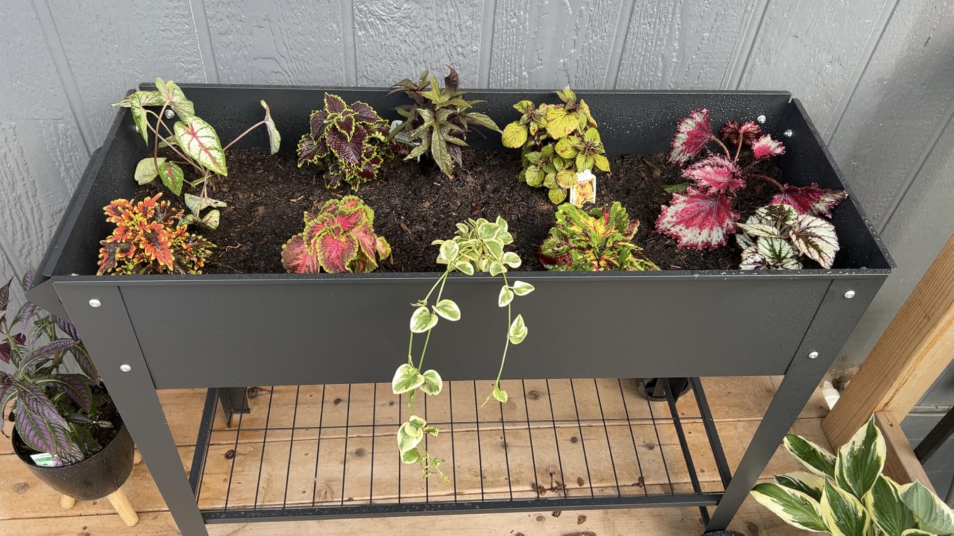 LEETOLLA 32-Inch Elevated Raised Garden Bed with Wheels and Storage Shelf customer photo 1