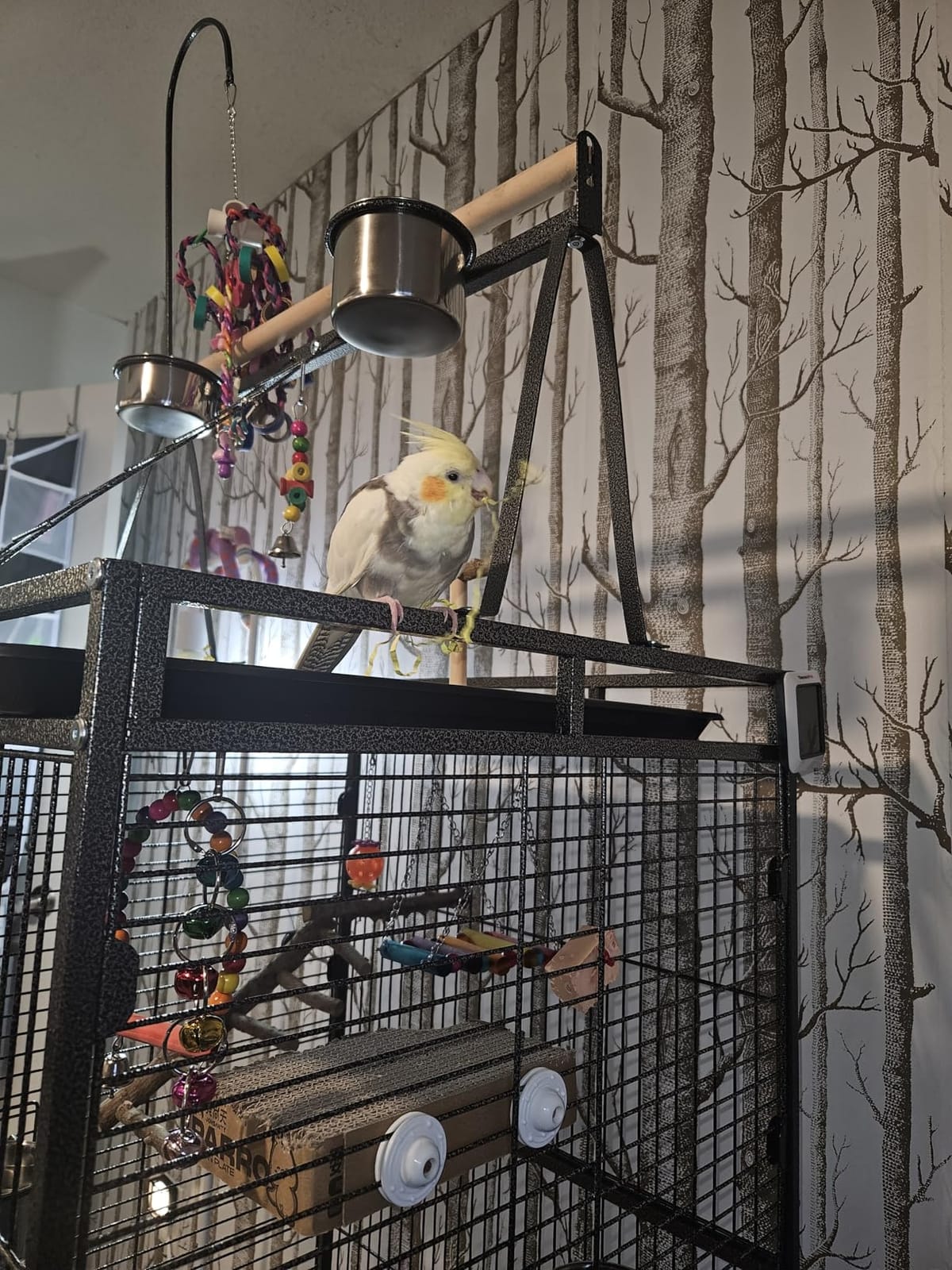 82 Inch Bird Cage, BOINN Bird Flight Cages with Rolling Stand & Bottom Tray, Wrought Iron Parrot Cage with PlayTop for Parakeet, Lovebirds, Ringneck, Cockatiels customer photo 2