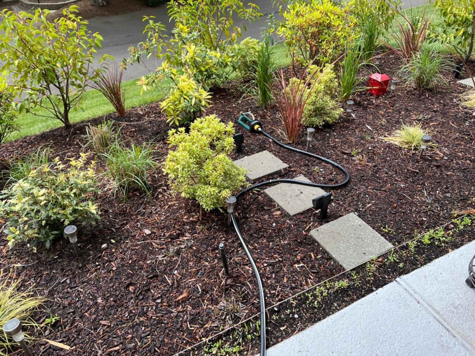 Melnor Turbo Oscillating Sprinkler, 2800 Sq Ft: Range Adjustable customer photo 2