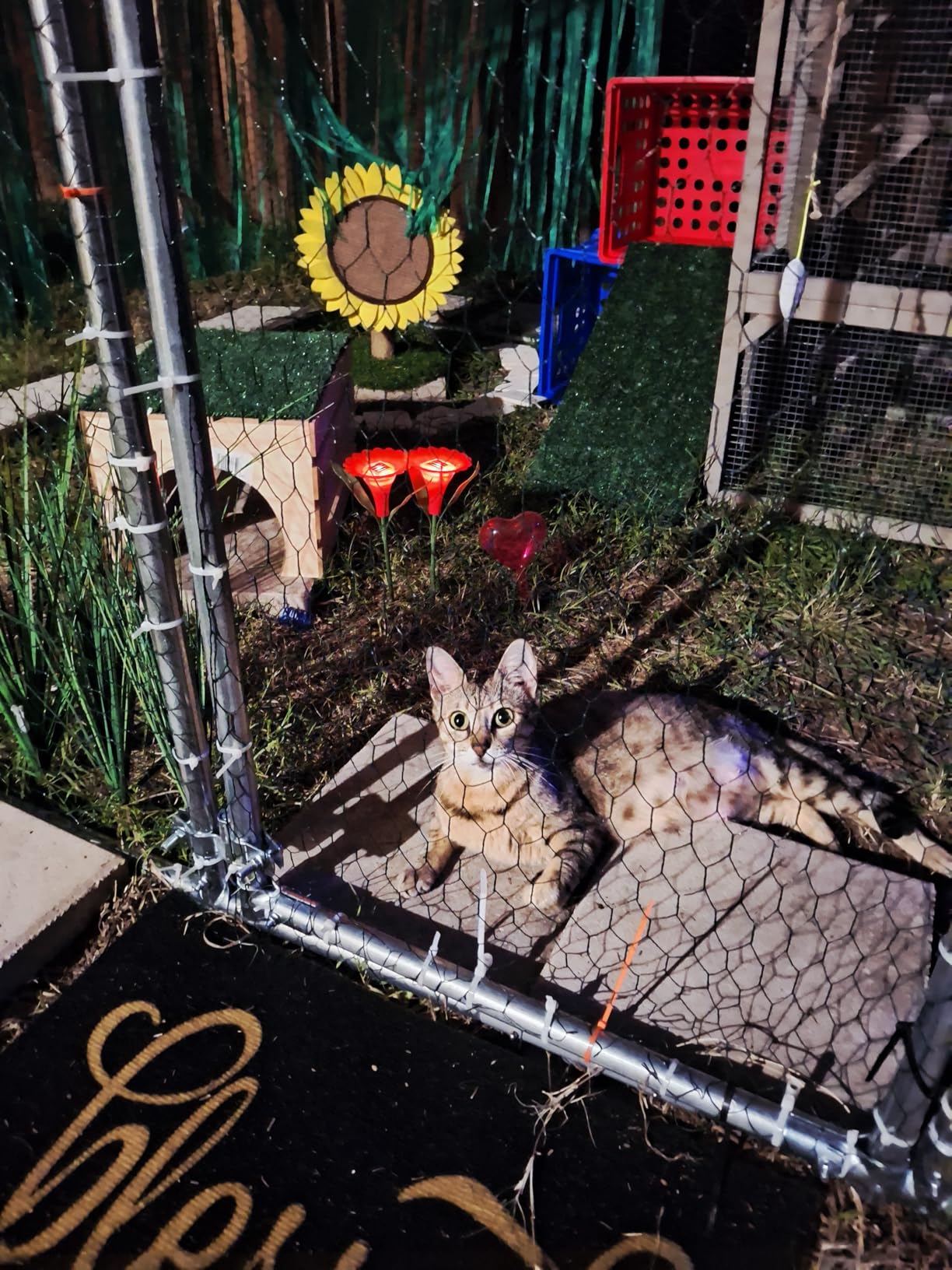 Large Metal Chicken Coop Round Top Upgrade Tri-Supporting Wire Mesh Chicken Run,Chicken Pen with Water-Resident and Anti-UV Cover,Duck Rabbit House Outdoor (13'L x 9'W x 6.5'H) customer photo 1