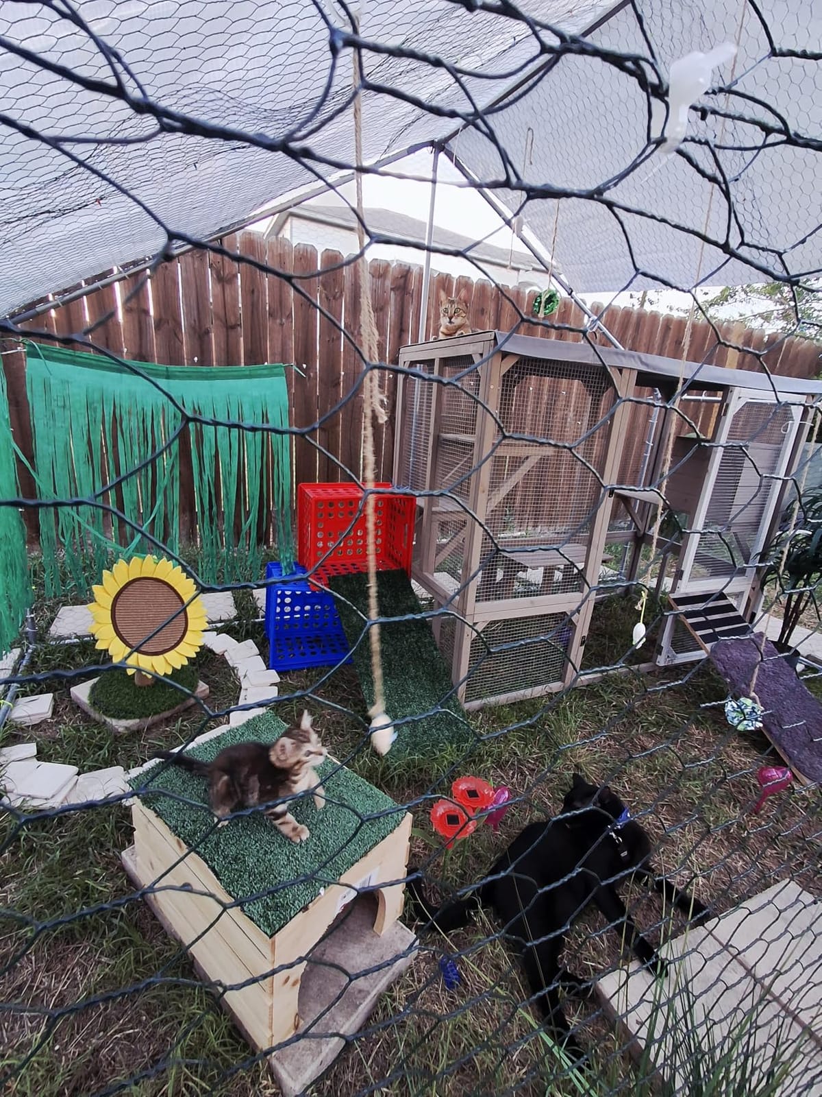Large Metal Chicken Coop Round Top Upgrade Tri-Supporting Wire Mesh Chicken Run,Chicken Pen with Water-Resident and Anti-UV Cover,Duck Rabbit House Outdoor (13'L x 9'W x 6.5'H) customer photo 2