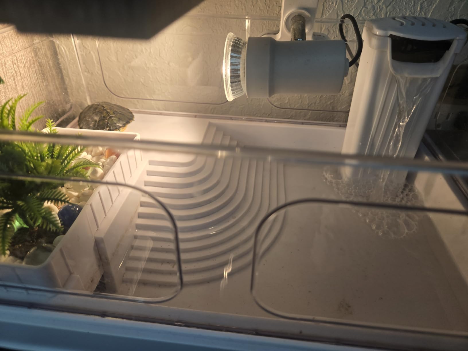 MoonOrange Small Turtle Tank Kit(Tank+Light+Filter), Acrylic Turtle Tank Starter Kit with Bask Platform, Bottom Drain, Multi-Function Area for Small Reptiles.(White) customer photo 2
