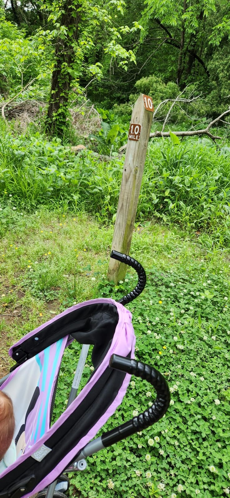 Disney Baby Character Umbrella Stroller, Eye-catching, Fun, 3D Stroller, Minnie Play All Day customer photo 2