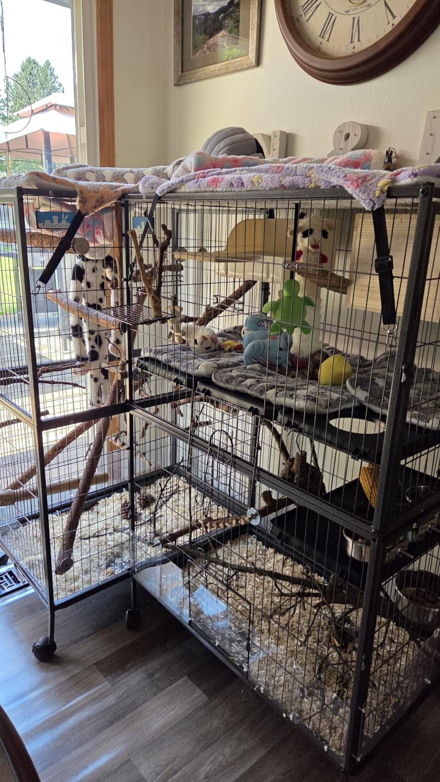 HABUTWAY 50''H Metal Small Animal Cages, Rolling Chinchilla Cage with Removable Ramps, Lagre Cage for Chinchillas/Guinea Pigs/Rabbit, Ferret Cages with Hammock & 5 Tiers, Black customer photo 1