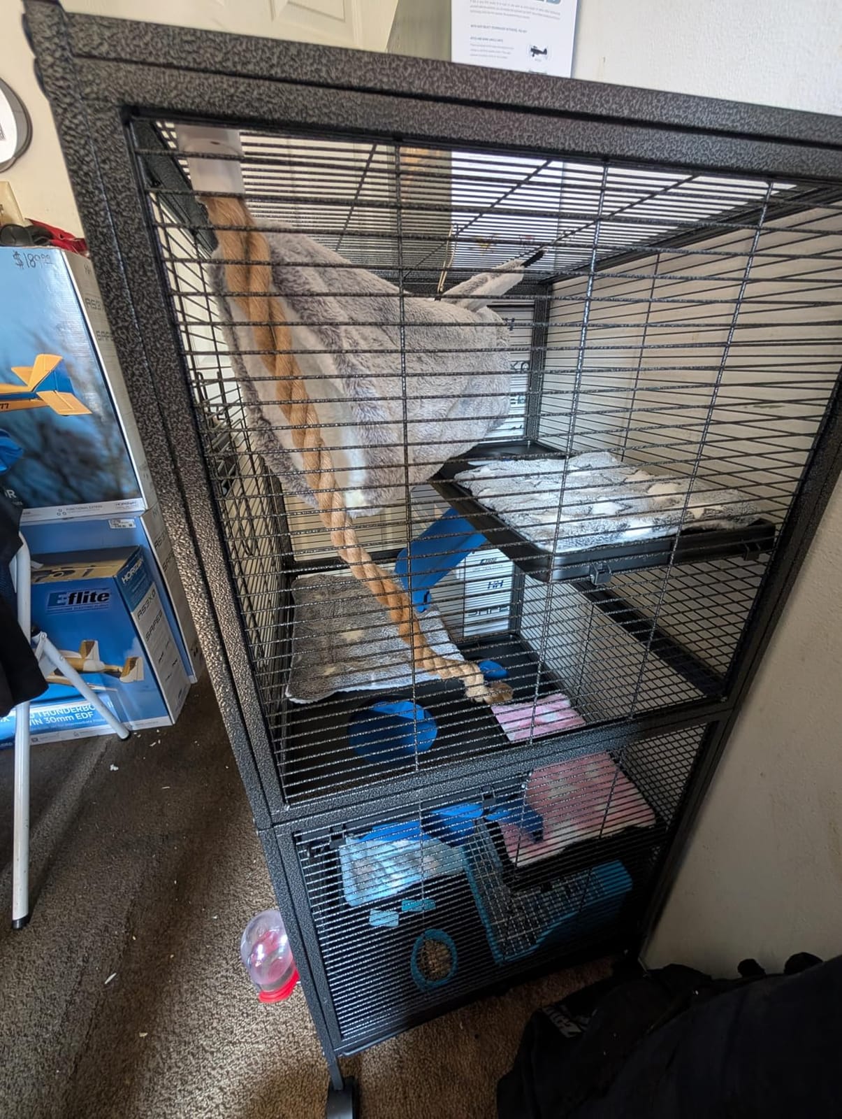 HABUTWAY 50''H Metal Small Animal Cages, Rolling Chinchilla Cage with Removable Ramps, Lagre Cage for Chinchillas/Guinea Pigs/Rabbit, Ferret Cages with Hammock & 5 Tiers, Black customer photo 2