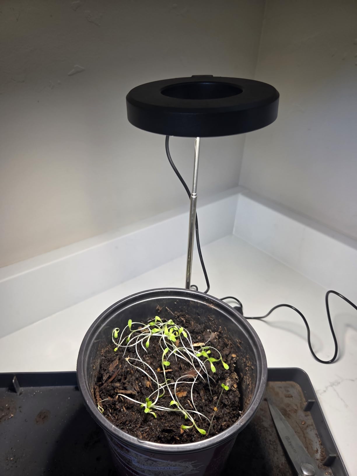 Aokrean Grow Lights for Indoor Plants, Full Spectrum Plant Light with Base | 48 LEDs Halo Grow Lamp for Small Plants, Base/Soil Insert, 6.5-26in Adjustable,3 Spectra, 3/9/12H Timer, 10 Brightness,3 Pack customer photo 1