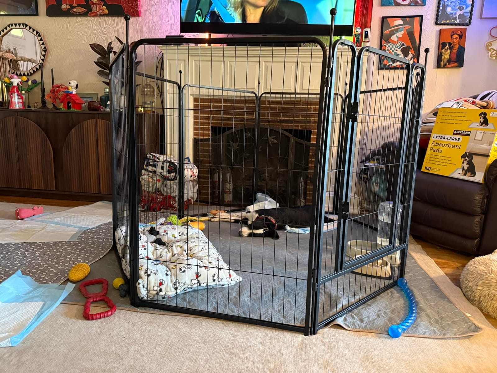 FXW Rollick Dog Playpen, Indoor, Yard & RV Camping, 24