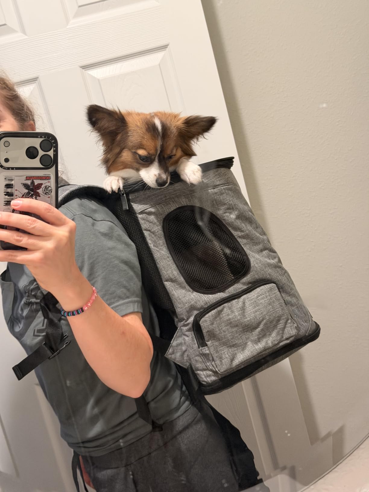 Petsfit Dog and Cat Backpack Carrier, Padded Waist Support, Up to 18 lb customer photo 1