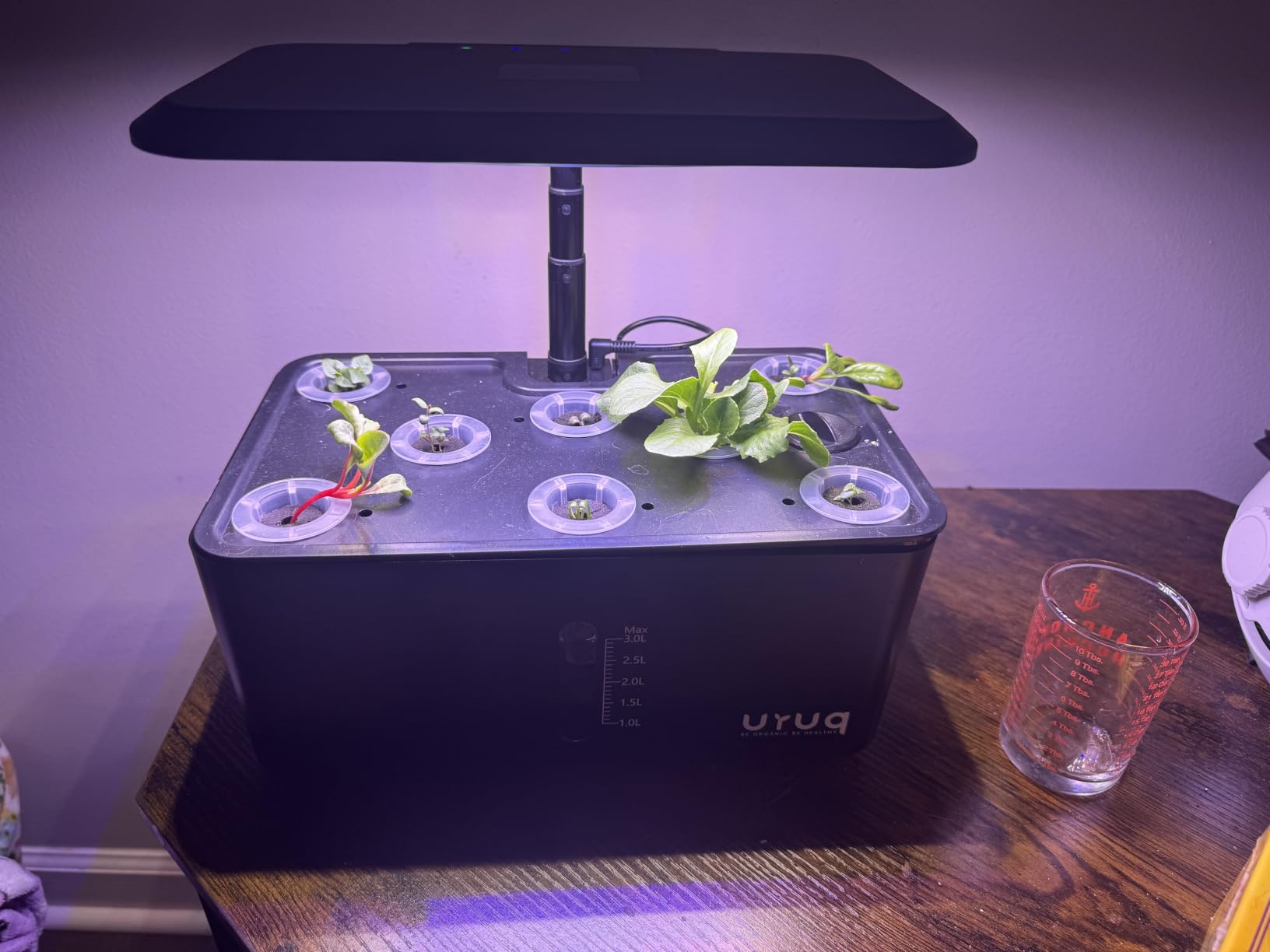URUQ 8 Pods Hydroponics Growing System with LED Grow Light - White | Quiet Water Pump, Automatic Timer, Adjustable Height for Fresh Herbs, Vegetables, Indoor Gardening, Gifts for Plant Lovers customer photo 1
