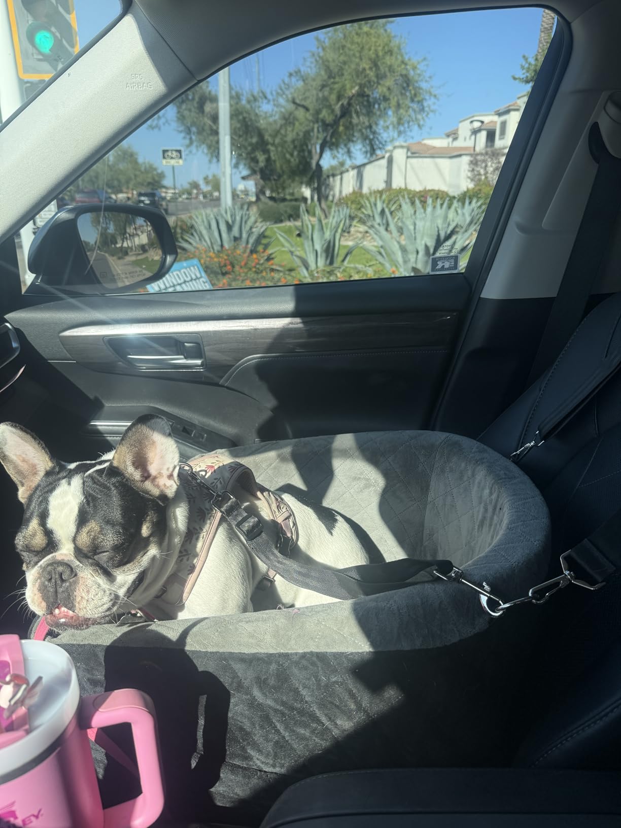 NEEZUKAR Dog Car Seat for Small Dogs,Detachable Washable Dog Booster Seat Under 30lbs, Pet Car Seat Travel Bed with Storage Pockets and Dog Safety Belt (Black/Grey) customer photo 2
