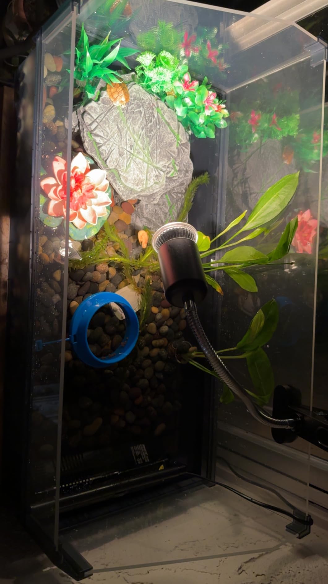 Large Turtle Tank Kit for Aquatic Turtles – Complete Starter Habitat with Filter, UVB Lamp, Basking Platform, Plants, Feeding Ring – Turtle Aquarium Kit (Black) customer photo 1