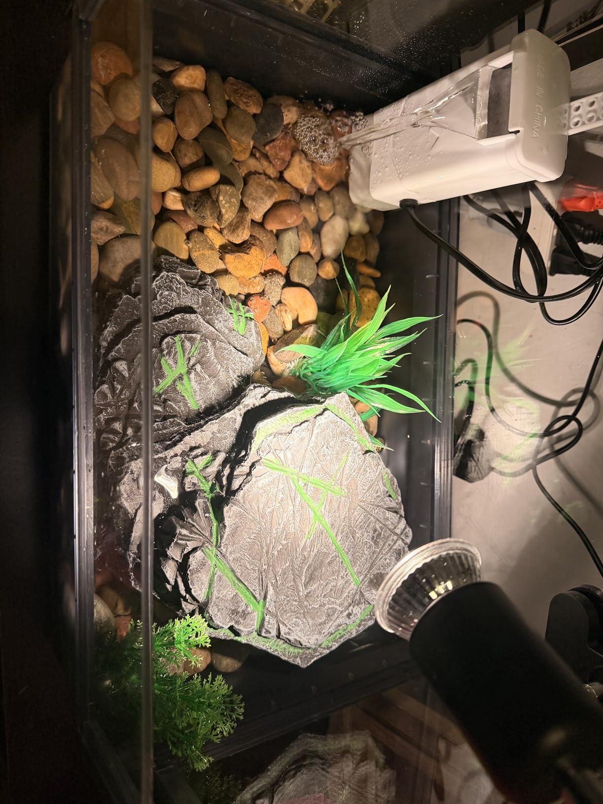 Large Turtle Tank Kit for Aquatic Turtles – Complete Starter Habitat with Filter, UVB Lamp, Basking Platform, Plants, Feeding Ring – Turtle Aquarium Kit (Black) customer photo 2