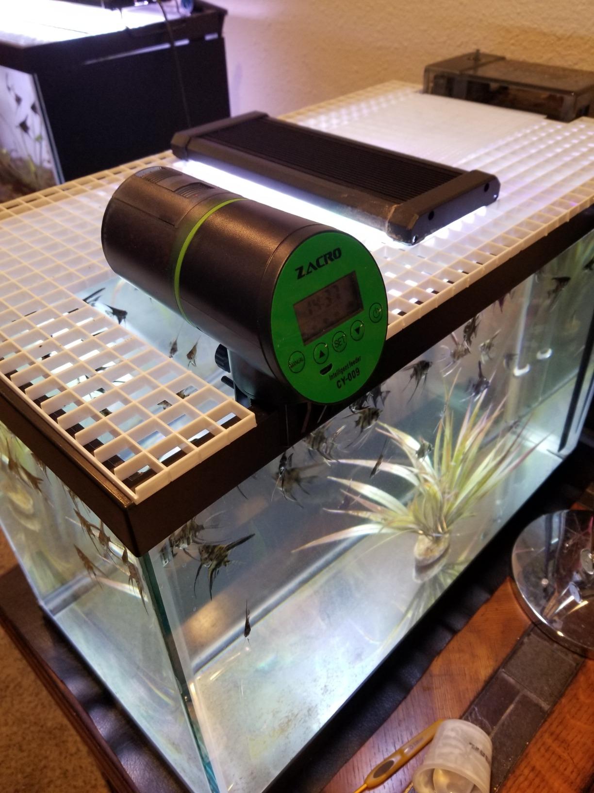 Automatic Fish Feeder for Aquarium Easy Setup & 4 Timers Black customer photo 1