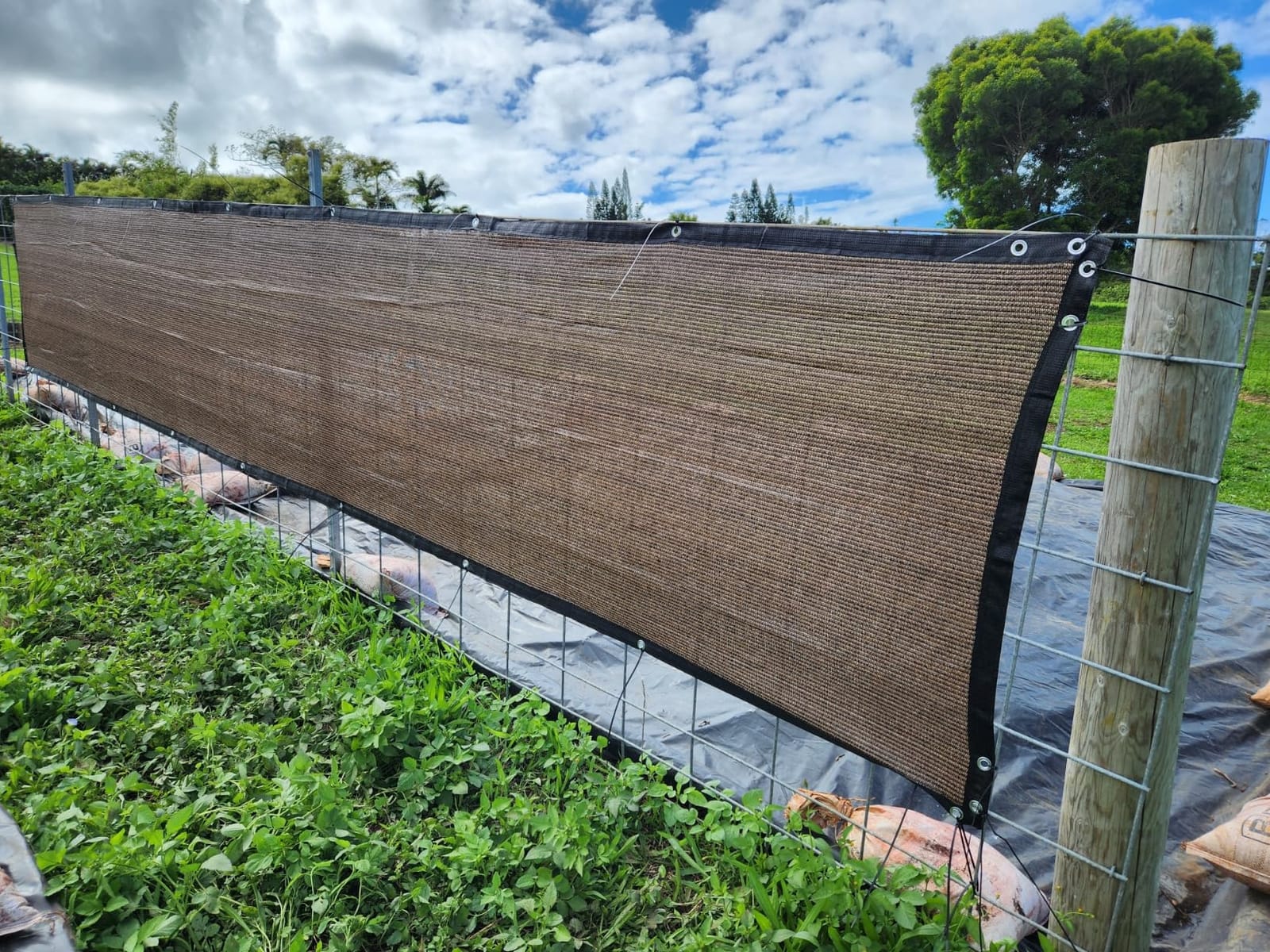SEKKVY 4' x 25' Heavy Duty Privacy Screen Fence (Brown) customer photo 1