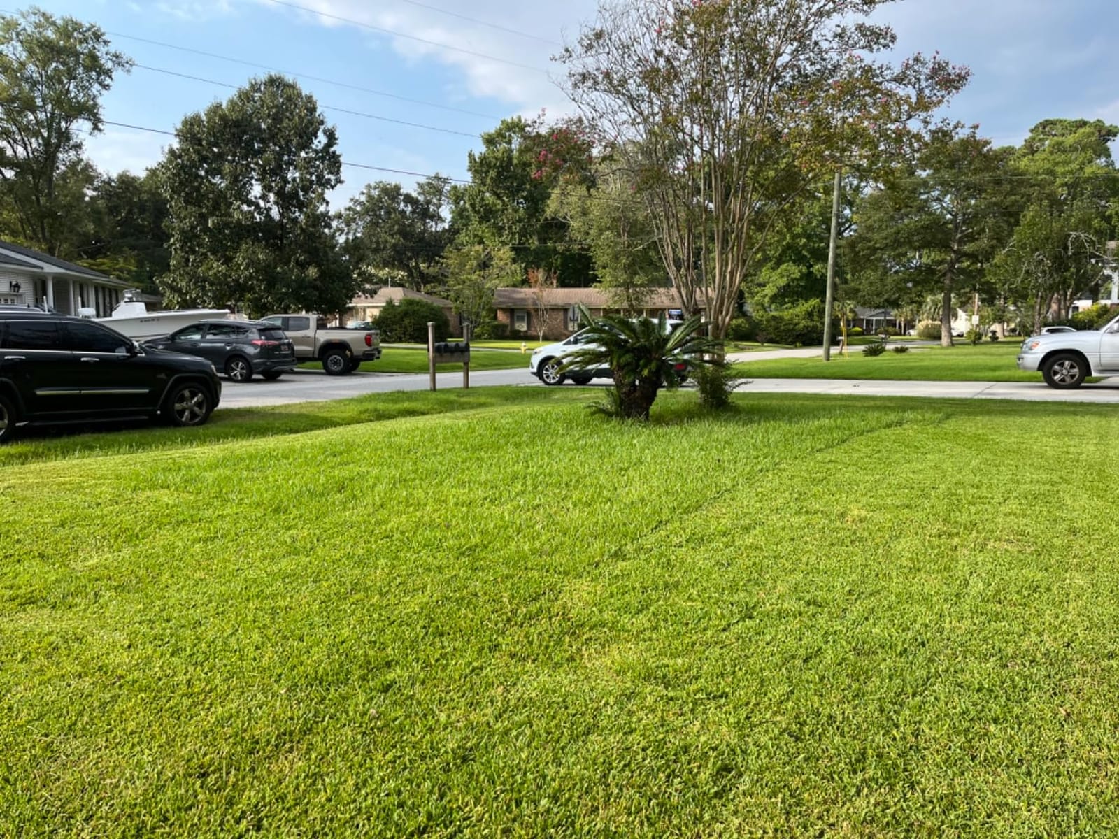 Wild Badger Power 40V 18-In Brushless Cordless Electric Lawn Mower customer photo 2