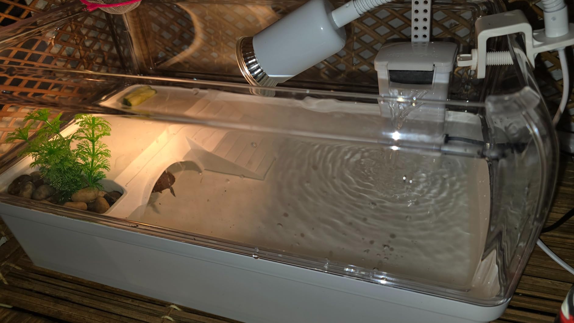 AZV Turtle Tank Starter Habitat Kit,Complete Aquatic Terrarium Enclosure | With Filter,Basking Platform with Hideout,Multi-Function Area,Drainage,Plants and Lamps,Perfect for Red Eared Slider Aquarium customer photo 2