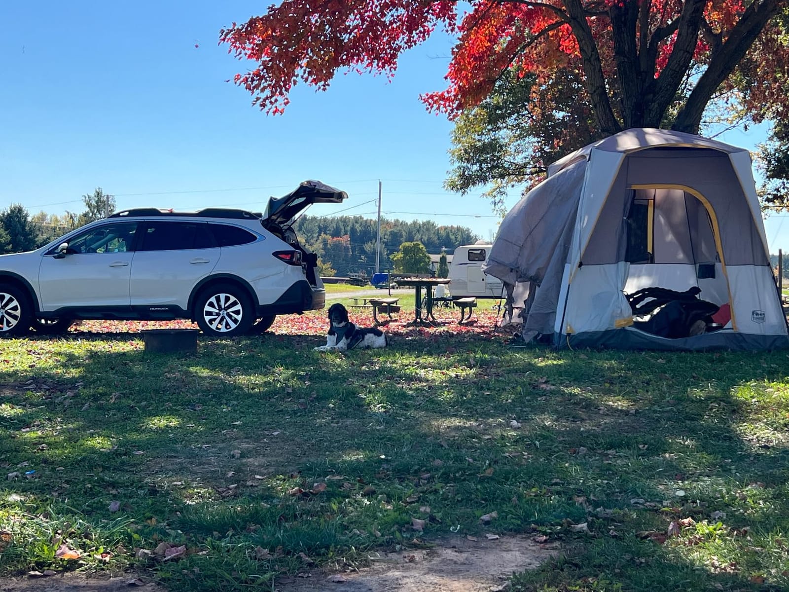 Timber Ridge Truck-Bed-Tents SUV Camping Tent customer photo 1