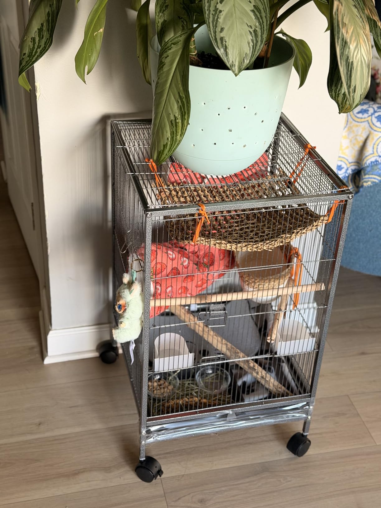 Yaheetech 35 inch Wrought Iron Bird Cage w/Play Open Top and Rolling Stand for Small Birds Like Parrots Conure Lovebird Cockatiel Lovebirds Budgies customer photo 2