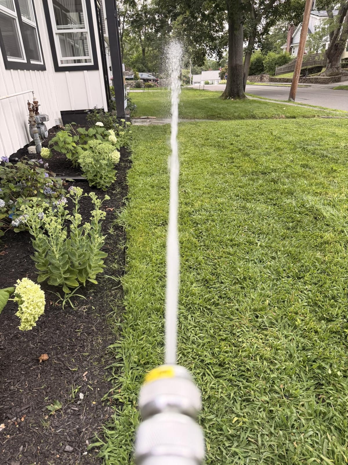 Pocket Hose 50 FT Silver Bullet 2.0 Hose, Turbo Shot Nozzle, Kink-Free customer photo 2