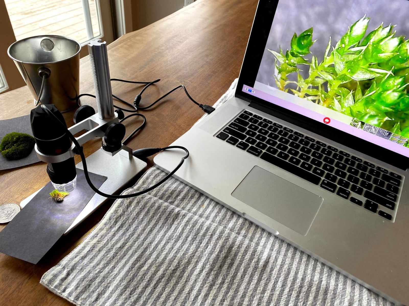 Jiusion 4K 50-1000x WiFi USB Digital Handheld Microscope with Metal Stand customer photo 1
