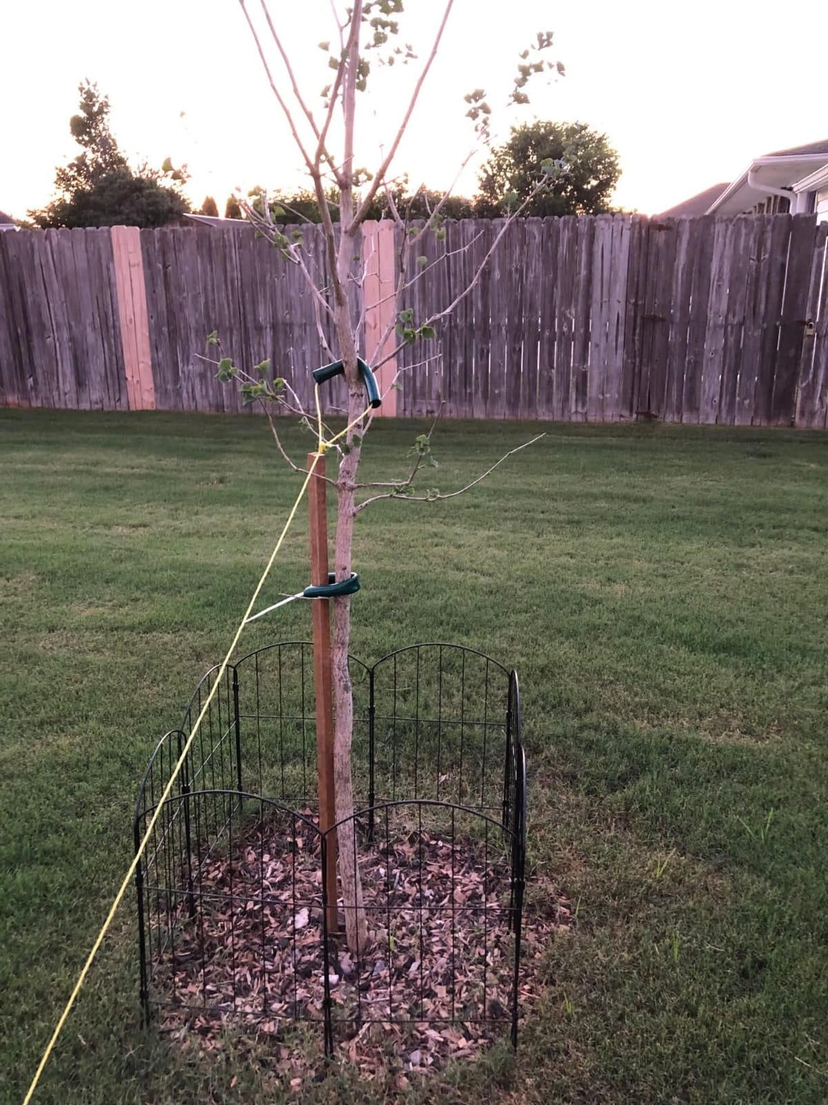 Goovilla Garden Fence, Total 10ft(L) x 24in(H), 10 Pcs, Rustproof Metal customer photo 2