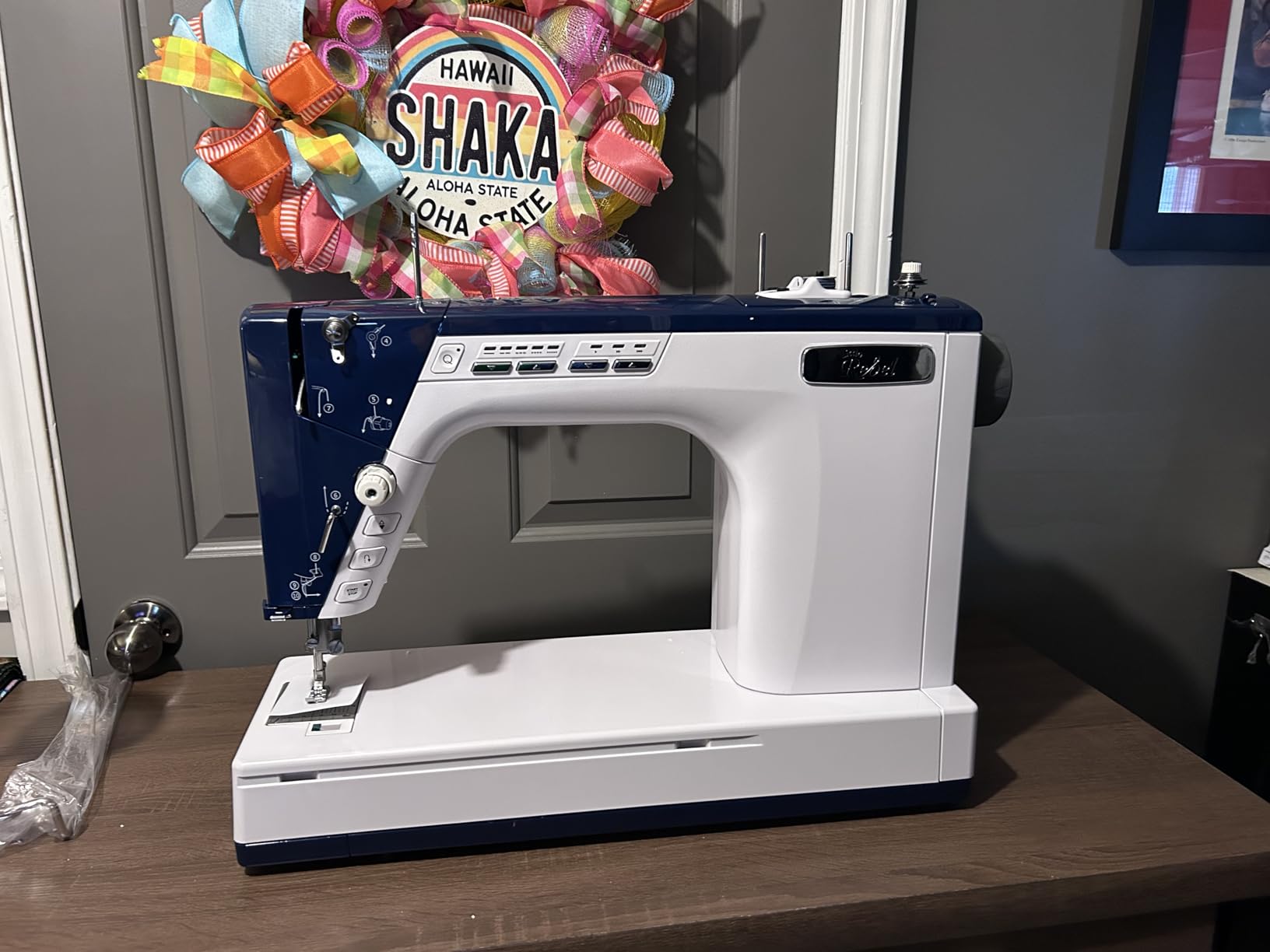 Little Rebel Sewing and Quilting Machine with Built-in Stitch Regulation (Little Rebel) customer photo 2