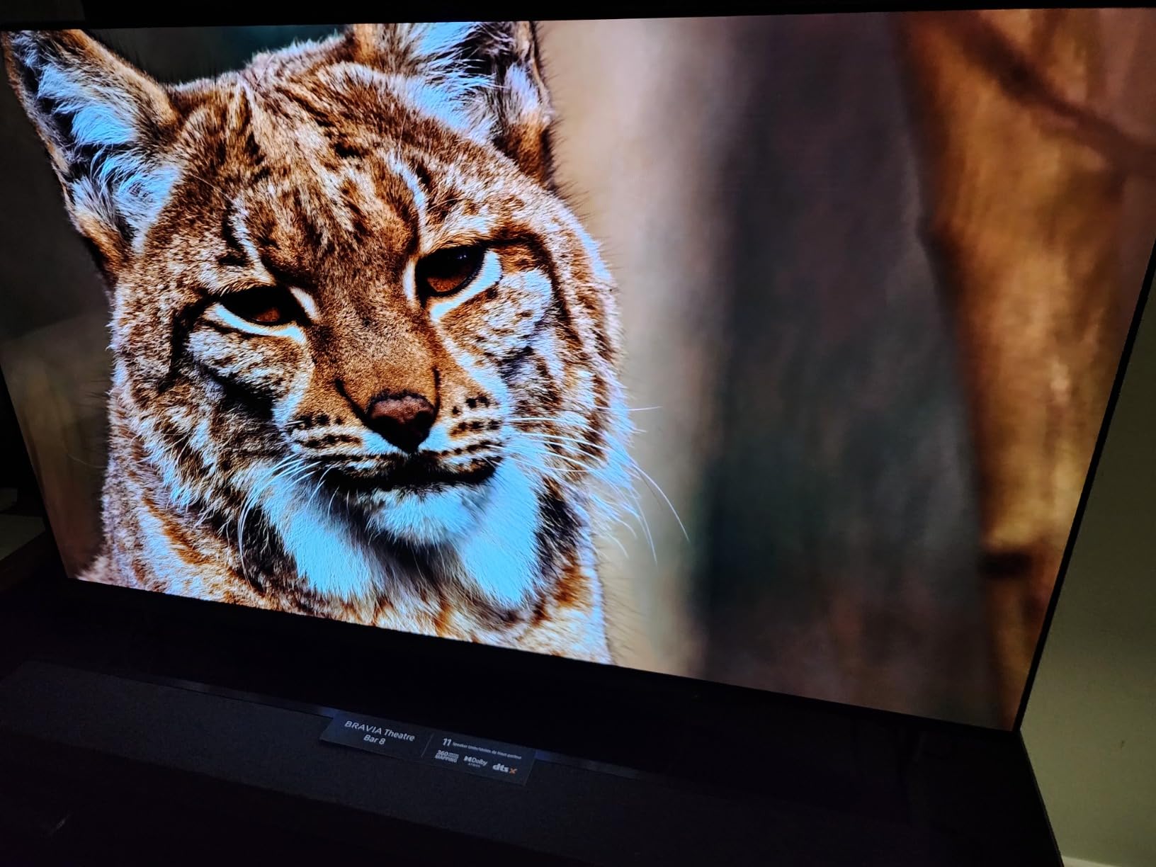 Sony 55 Inch BRAVIA 8 OLED 4K HDR Smart Google TV (K-55XR80) customer photo 2