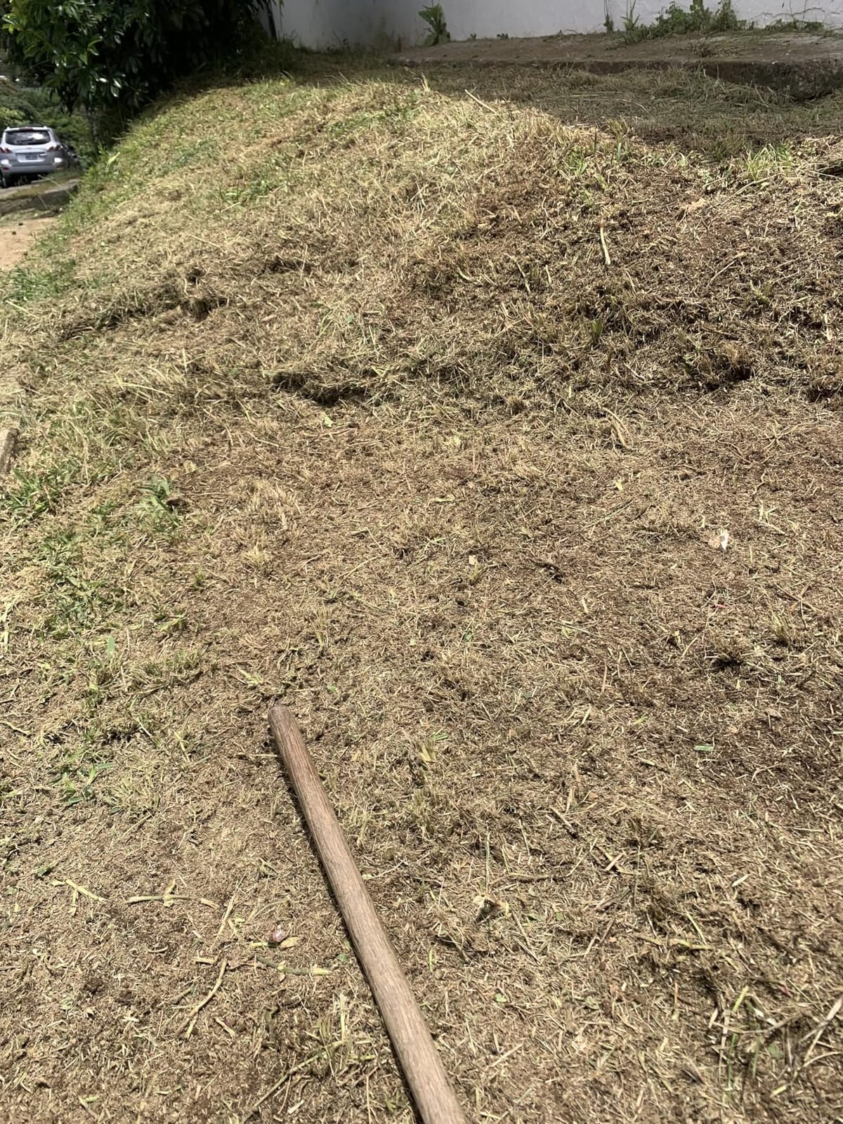 Husqvarna 122LK Grass Trimmer, Straight Shaft Gas Trimmer, Outdoor Tools customer photo 2