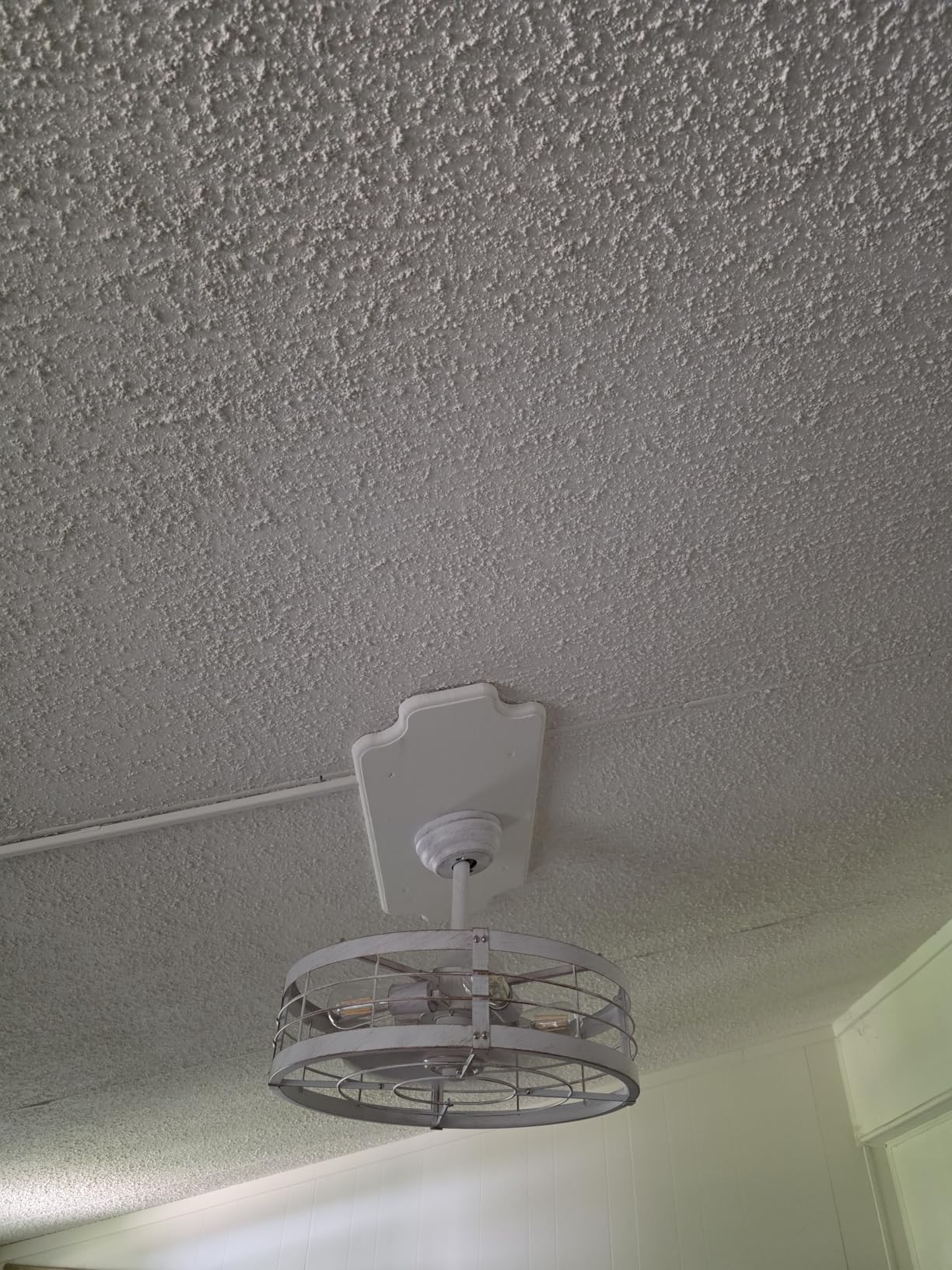 LEDIARY 20 inch Fandelier Caged Ceiling Fan with Light and Remote, Black customer photo 1