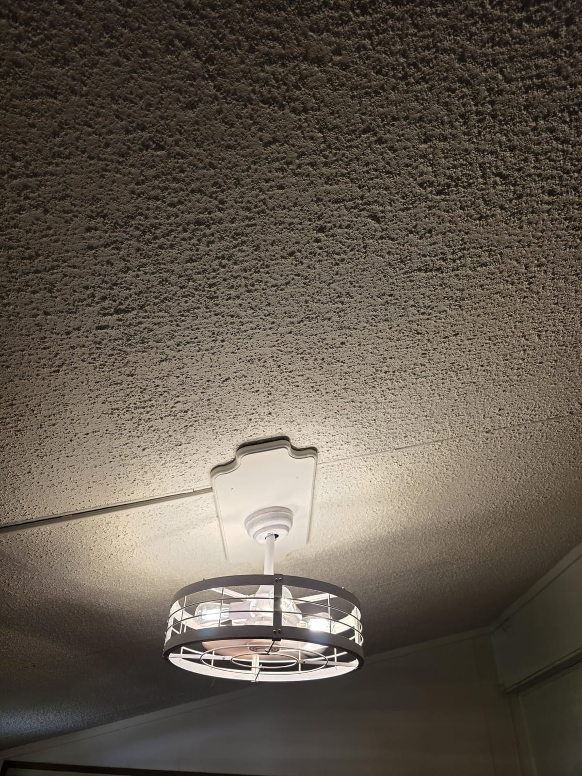 LEDIARY 20 inch Fandelier Caged Ceiling Fan with Light and Remote, Black customer photo 2