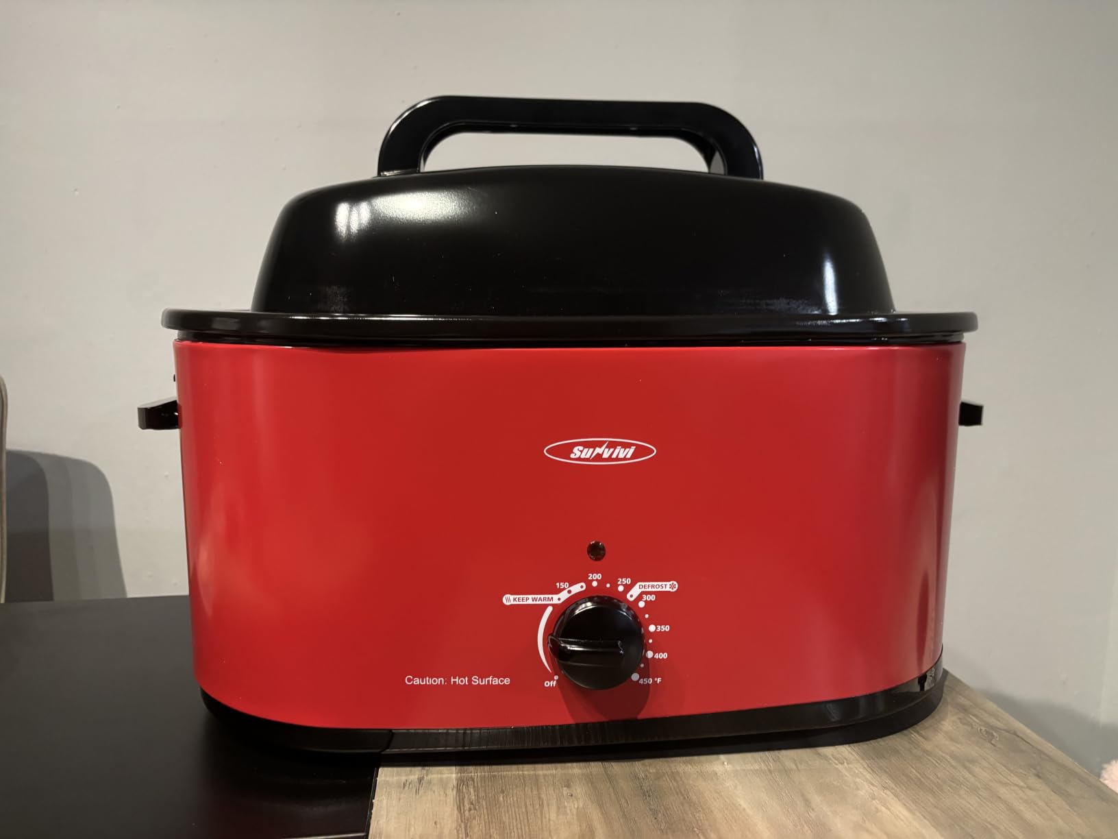 Sunvivi Roaster Oven, Electric Roaster Oven with Self-Basting Lid, 24lb 20-Quart Turkey Roasters with Unique Defrost/Warm Function, Large Roaster with Removable Pan & Rack, Stainless Steel, Blue customer photo 2